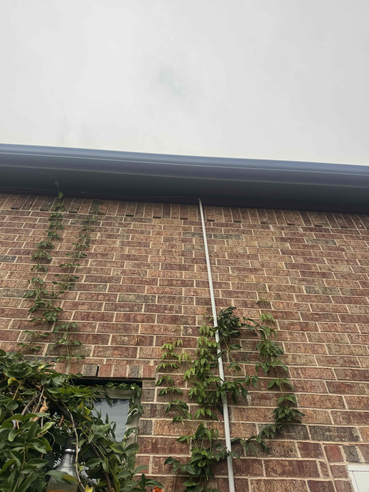 Replaced burnt up gfci in garage.