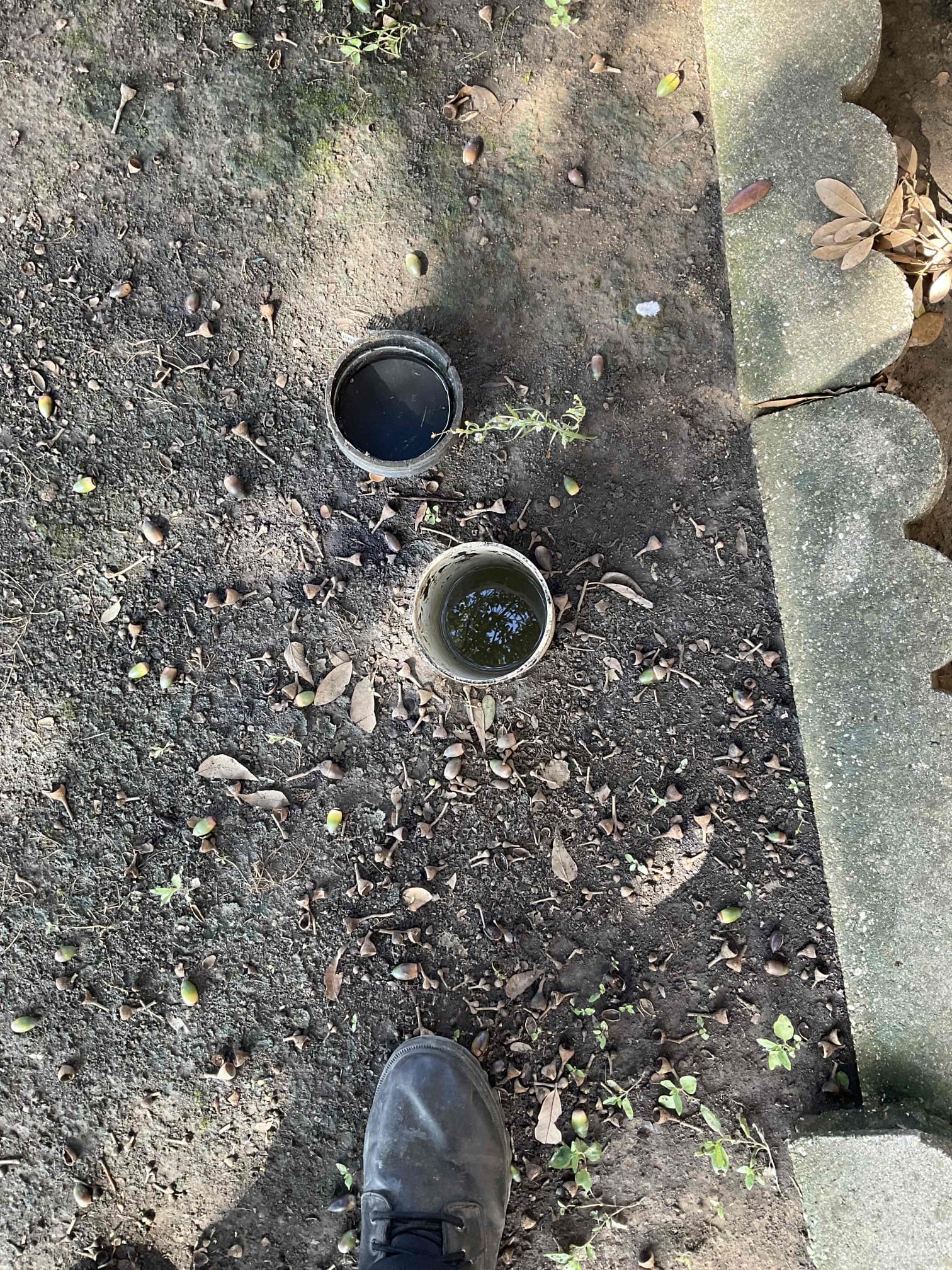 Attempt to restore flow to main sewer line ( single cleanout out in front yard is full )

Successfully restored flow to main drain in front yard, tested pluming inside home and everything is draining.

Did explain to homeowner that my cable was binding up while running and took a lot of work to get flow restored so a camera diagnostic is need to look inside the drains and figure out what the issues are and how to fix them. Customer is not wanting to run camera at this time.

No warranty on drain clear.