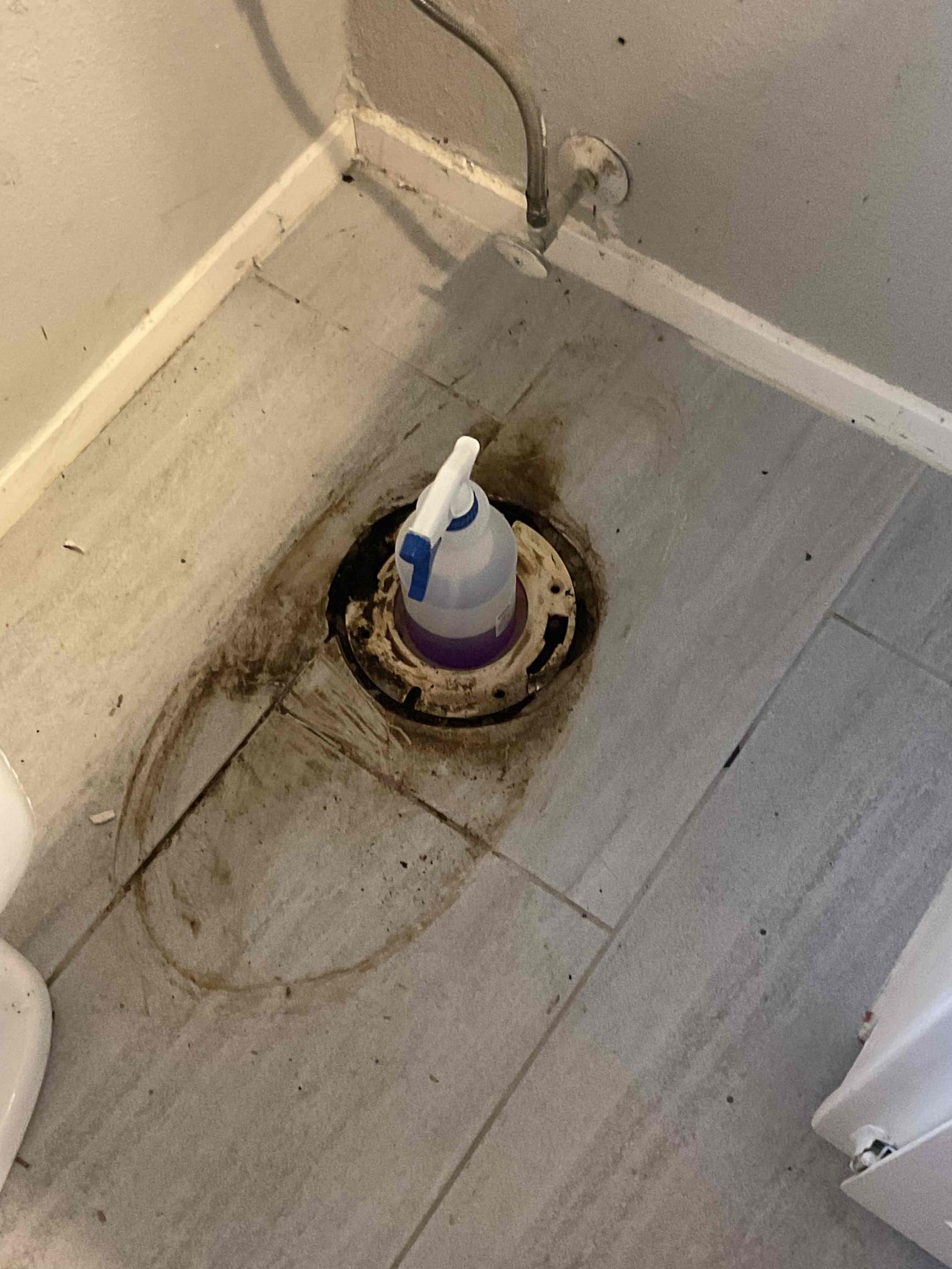 Replaced broken flange and reset toilet, Replace wax seal, closet bolts and water supply line.  Replaced emergency shutoff as a courtesy. 5 year warranty on toptech furnished materials. 