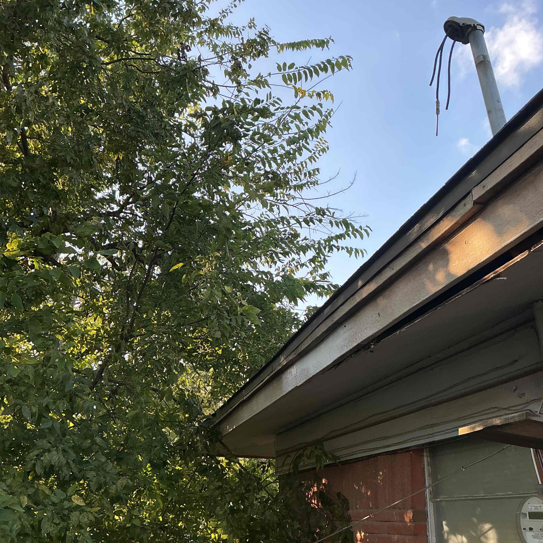 Customer had a tree fall on the powerline and encore came out and completely disconnected the line and took the wire. Customer is getting different quotes and wanted a quote for us to replace the electrical panel and overhead meter. Explain to customer that we can’t see the inside panel due to not having keys to the house And we’re not able to give him a solid price due to so many different variables. Will call customer back and see if he can make it out Friday afternoon for us to be able to look inside the house. Customer had a tree fall on the powerline and encore came out and completely disconnected the line and took the wire. Customer is getting different quotes and wanted a quote for us to replace the electrical panel and overhead meter. Explain to customer that we can’t see the inside panel due to not having keys to the house And we’re not able to give him a solid price due to so many different variables. Will call customer back and see if he can make it out Friday afternoon for us to be able to look inside the house.