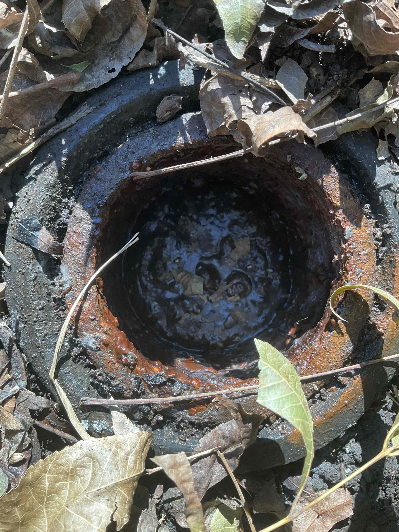 - Attempt to restore flow to main line due to blockage somewhere in the yard.

Talked to customer about camera inspection and issues in drainage however they unable to do the camera inspection currently.

No warranty on drain snake