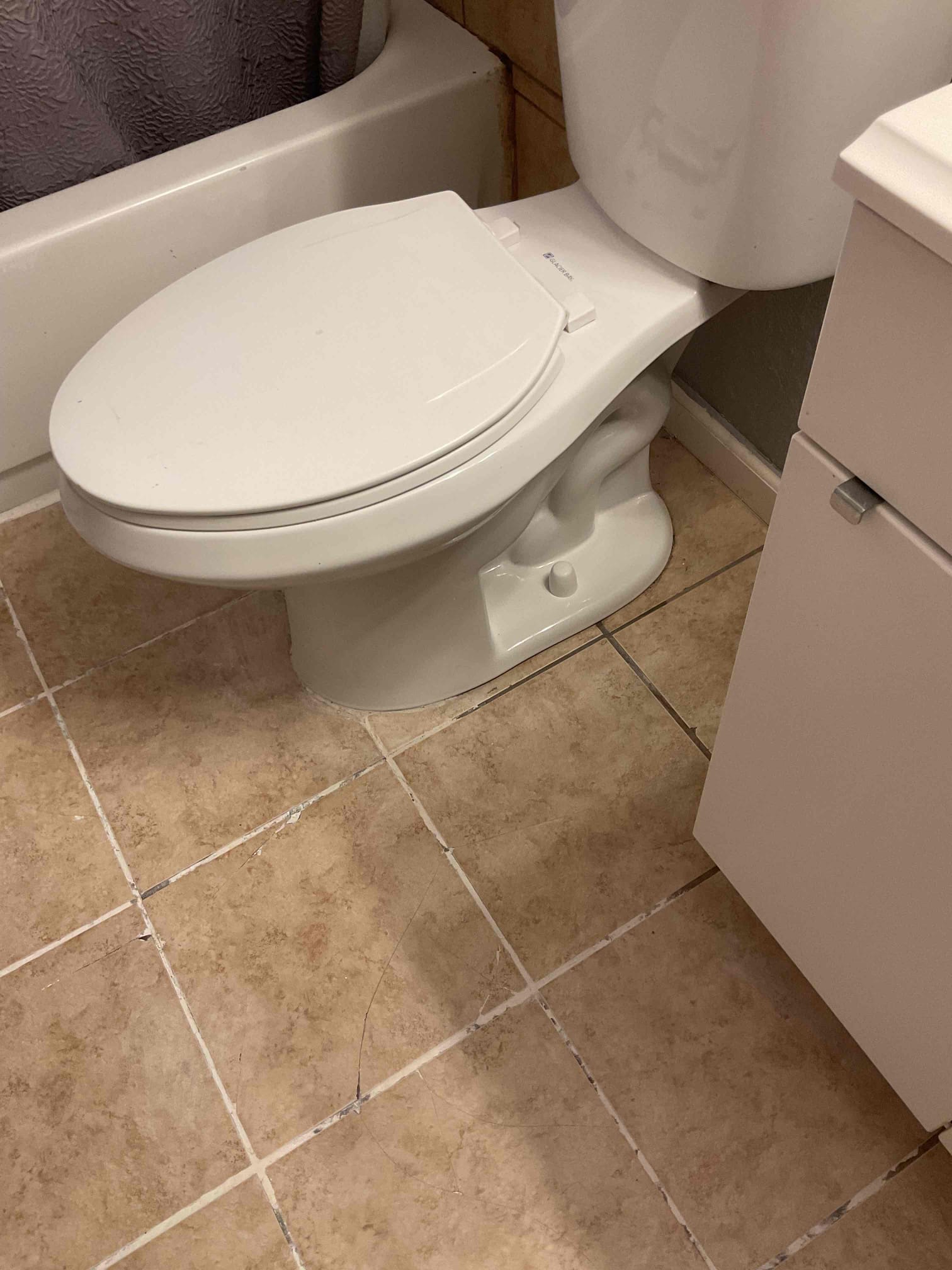 Attempted to restore flow to toilet in hall bathroom with closet auger. This was not successful. Recommended pulling toilet to gain better access to drain. Also the toilet leaks water from base when it is flushed due to a failed wax seal.  No further work was authorized at this time. Sent payment link for $99. 