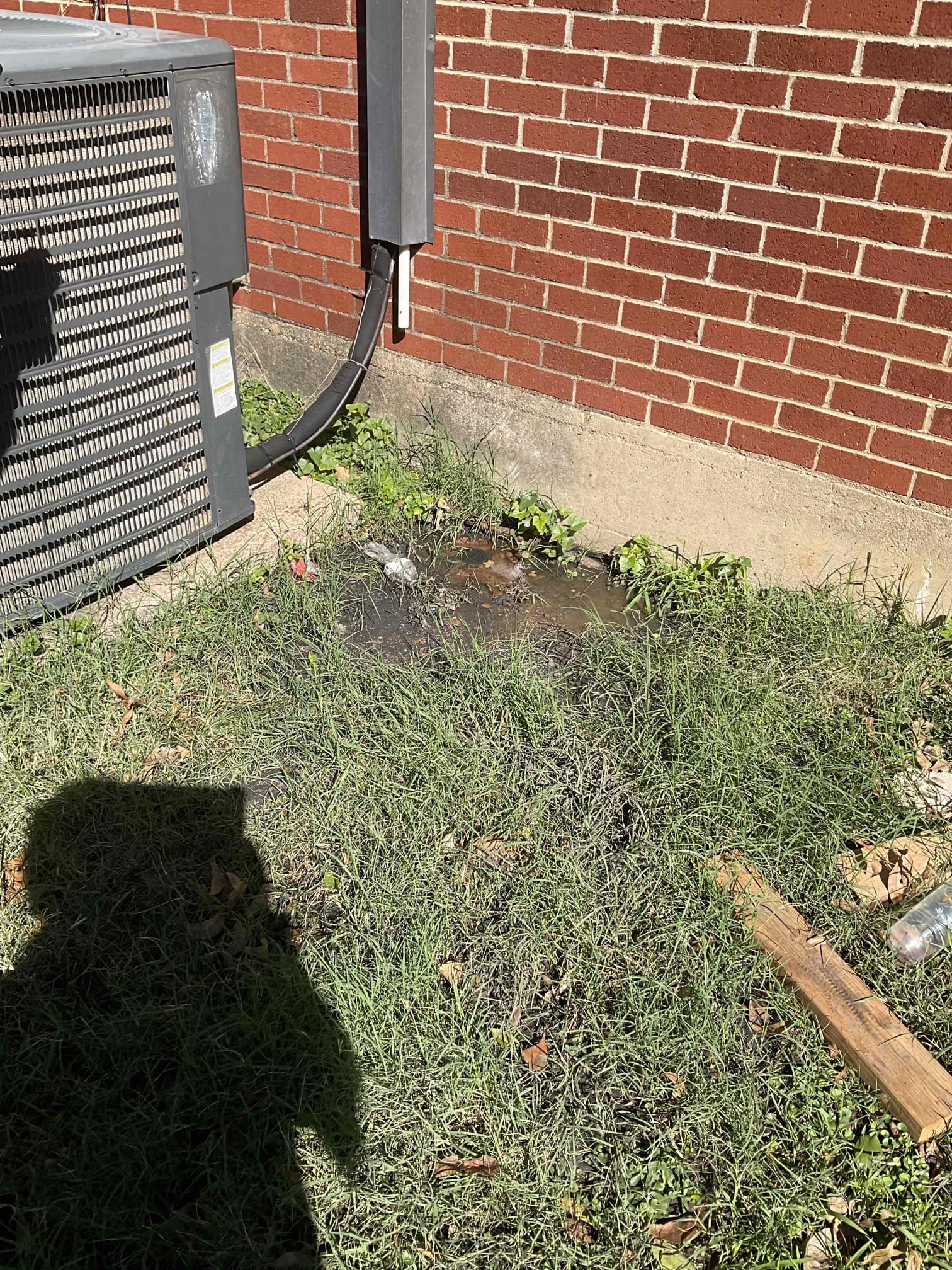 Attempt to pop clog on main sewer line due to complete stoppage in yard.

No warranty 
- preform a camera inspection on main line to look inside piping and look/ locate issues inside the drains

** any issues found solutions will be given **