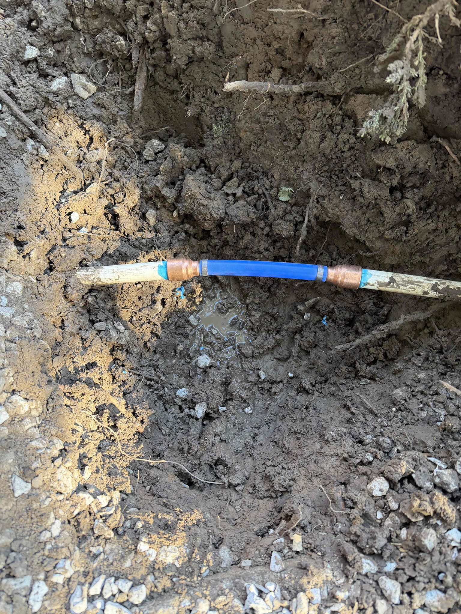 Homeowner met inspector o site and passed the final inspection.