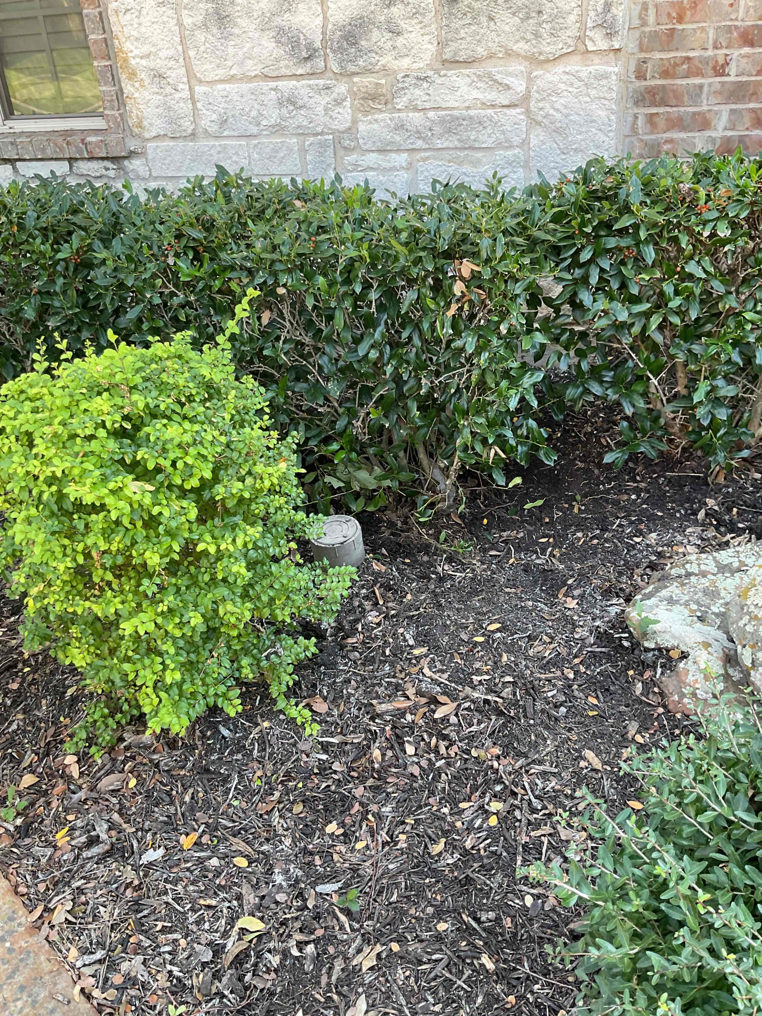 Gave customer estimate to replace two way cleanouts in front yard. She already had estimates from two other companies. We price matched the first companies estimate and the customer is wanting to stick with the first company that came out. No work authorized at this time. 