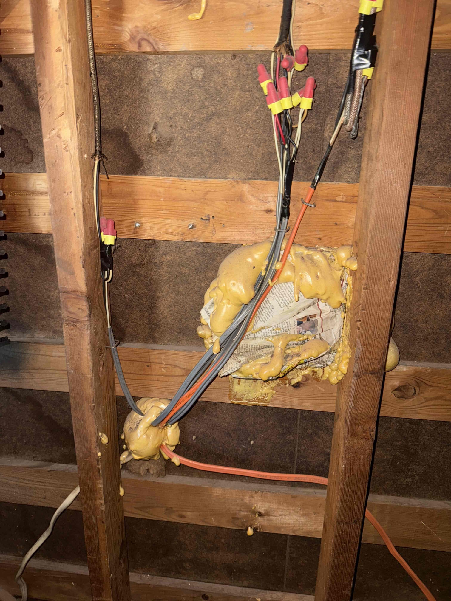 Thursday/ 11-06-25 call back 3:00