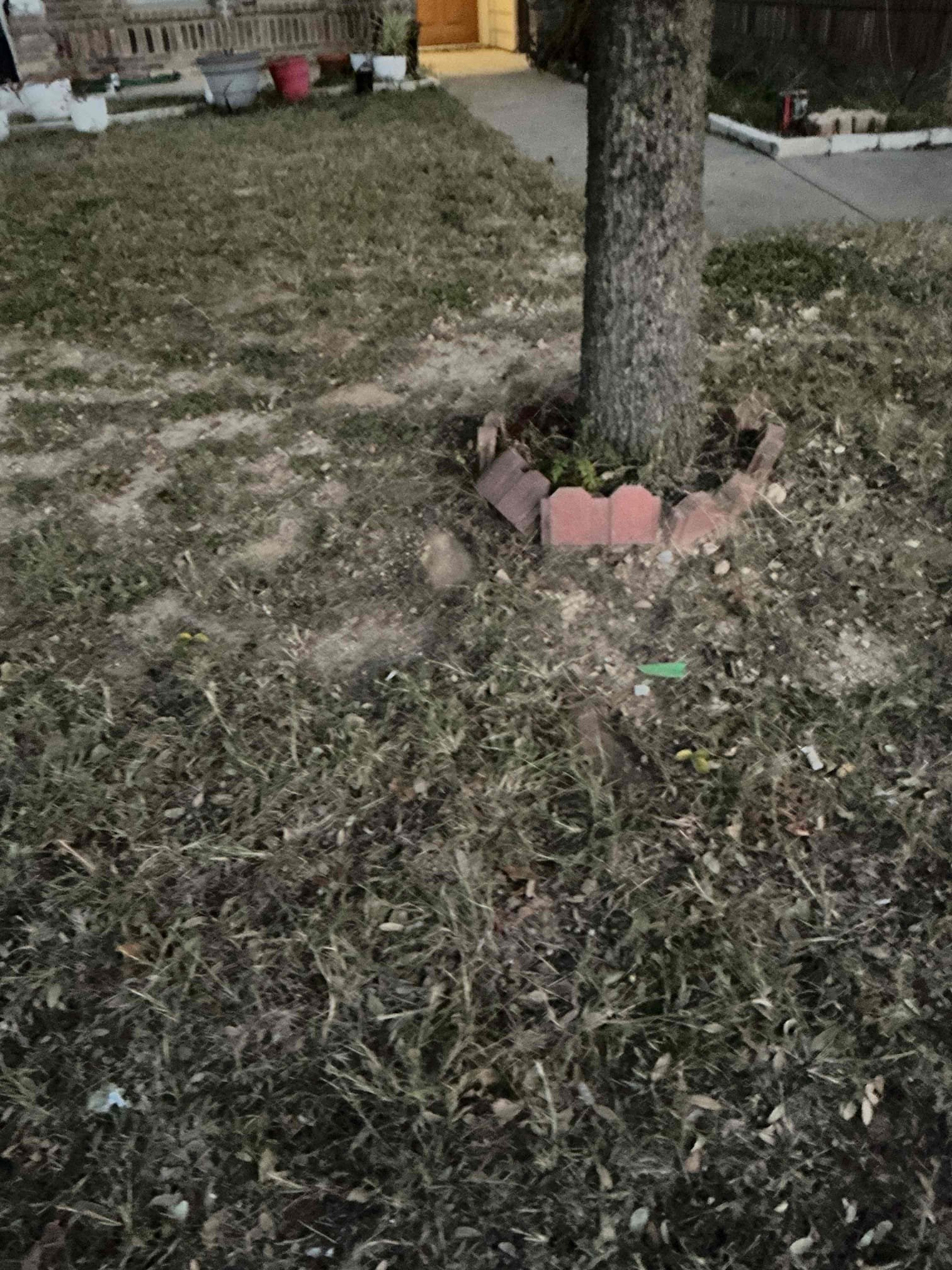 - Attempt to pop drain due to sewer yard line completely holding water in cleanout.

No warranty on drain cable

Successfully popped clog however I did pull back root which indicates issues inside the sewer system.

Did explain to customer that he needs a camera ran into sewer to find out why roots are getting into the pipe and solutions on fixing it.

Customer doesn’t want us to preform a camera inspection 
- preform camera inspection on main sewer line to see any issues inside piping and locate issues.

** solutions will be given for any issues found **