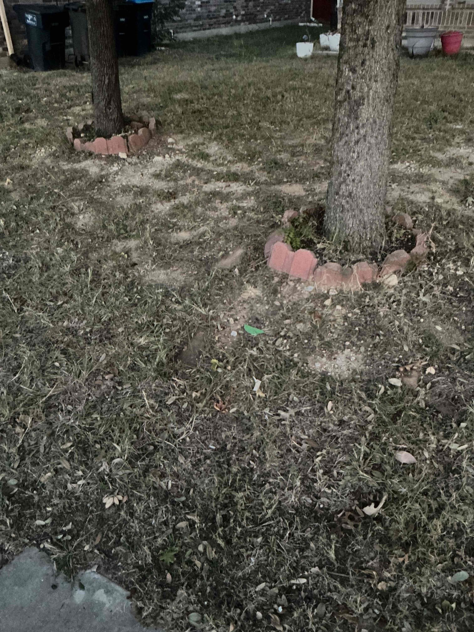 - Attempt to pop drain due to sewer yard line completely holding water in cleanout.

No warranty on drain cable

Successfully popped clog however I did pull back root which indicates issues inside the sewer system.

Did explain to customer that he needs a camera ran into sewer to find out why roots are getting into the pipe and solutions on fixing it.

Customer doesn’t want us to preform a camera inspection 
- preform camera inspection on main sewer line to see any issues inside piping and locate issues.

** solutions will be given for any issues found **