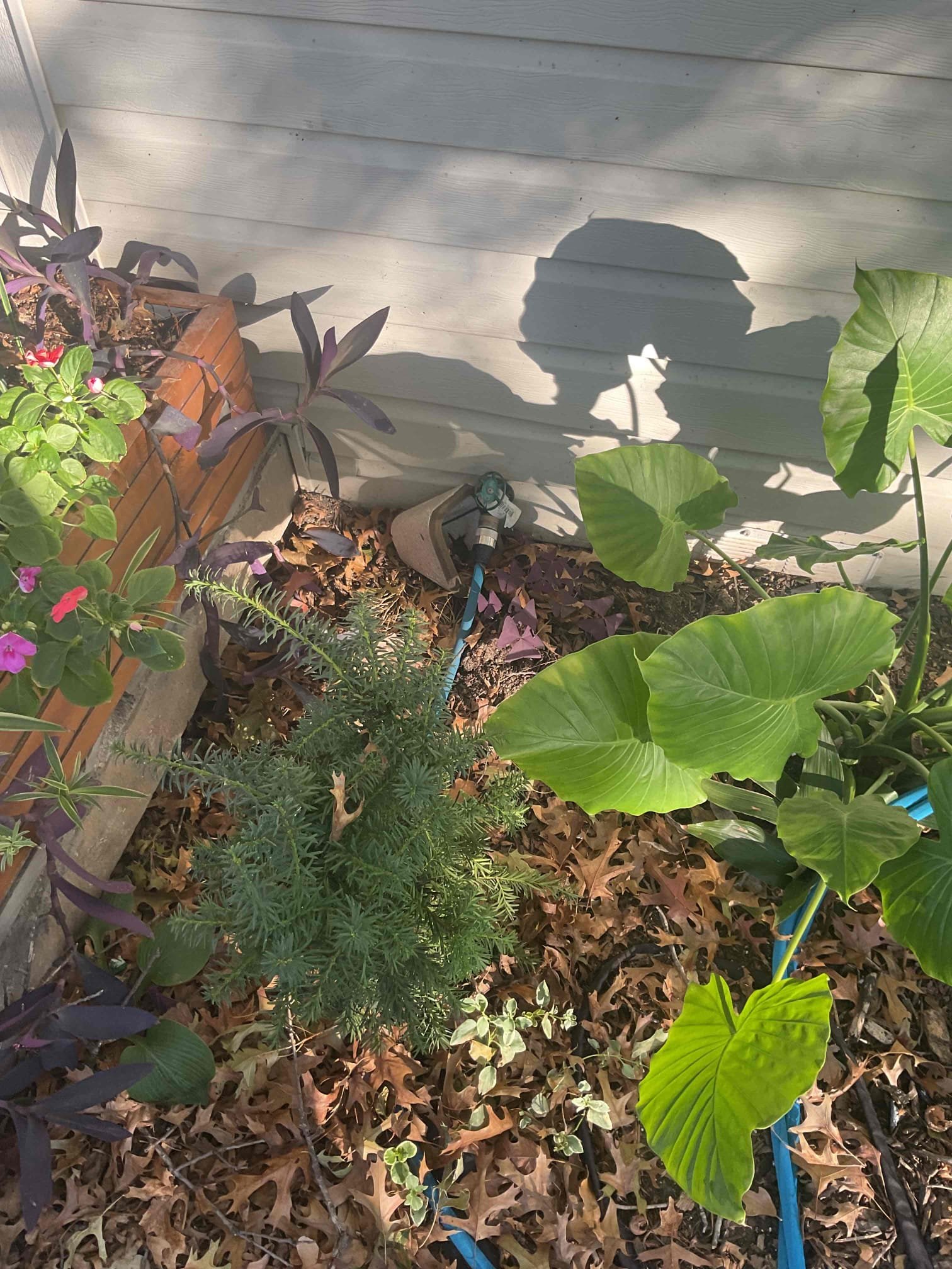 Warranty call- advised customer about previous scope of work and wrote out estimate to accomplish adding a pressurized fresh water source to camper trailer in backyard. Customer declined estimate at this time and is planning to run a water hose to fill holding tank on camper. 