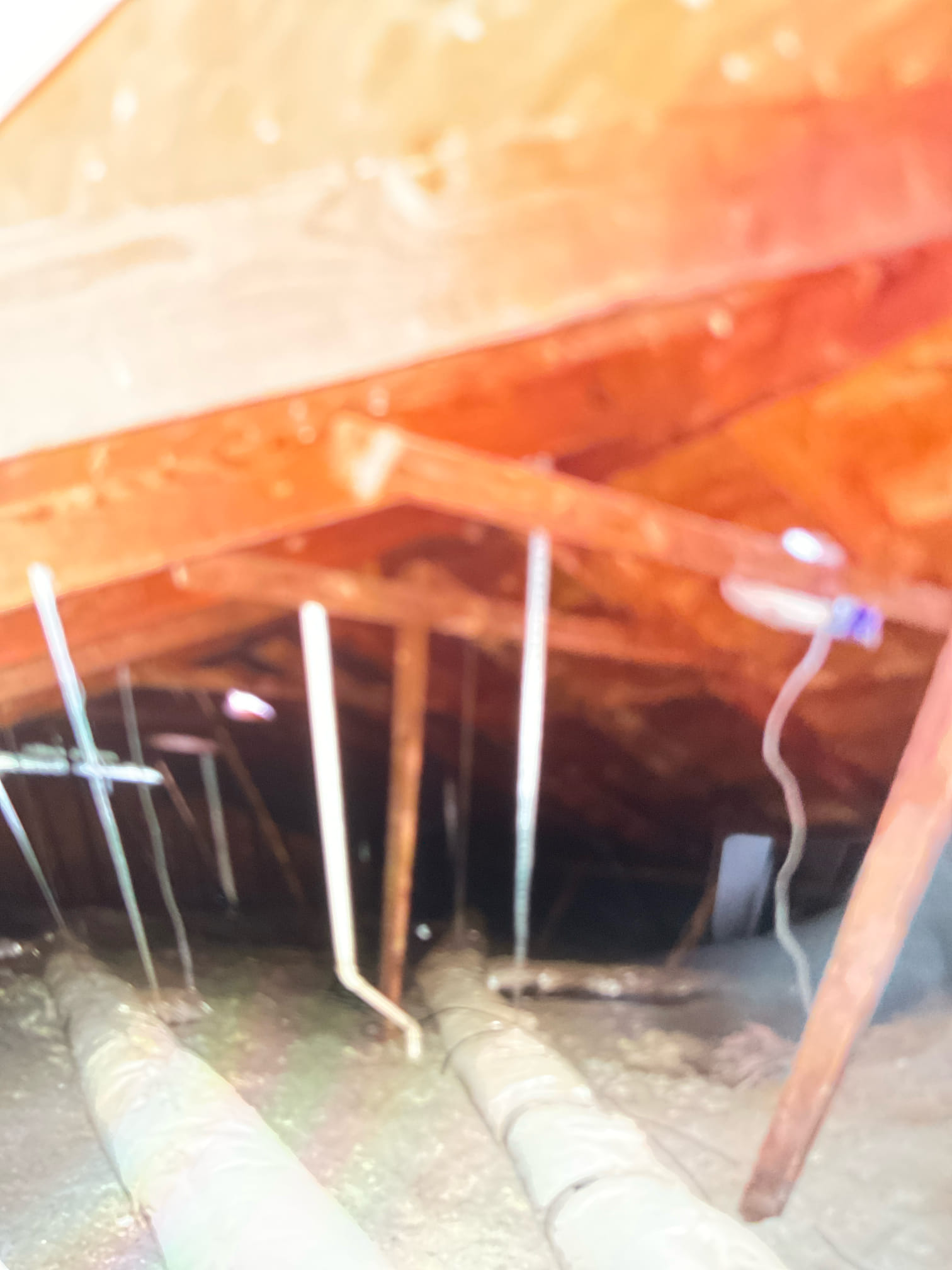 - preform inspection of sewer line with sewer camera to check for any visible issues on accessible system.

** if issues are found they will be located and solutions given for repair **

Me and supervisor will return tomorrow morning to run camera

Supervisor ran camera and noticed a couple different issues, gave solutions for what he saw. Customer will call back with decision.