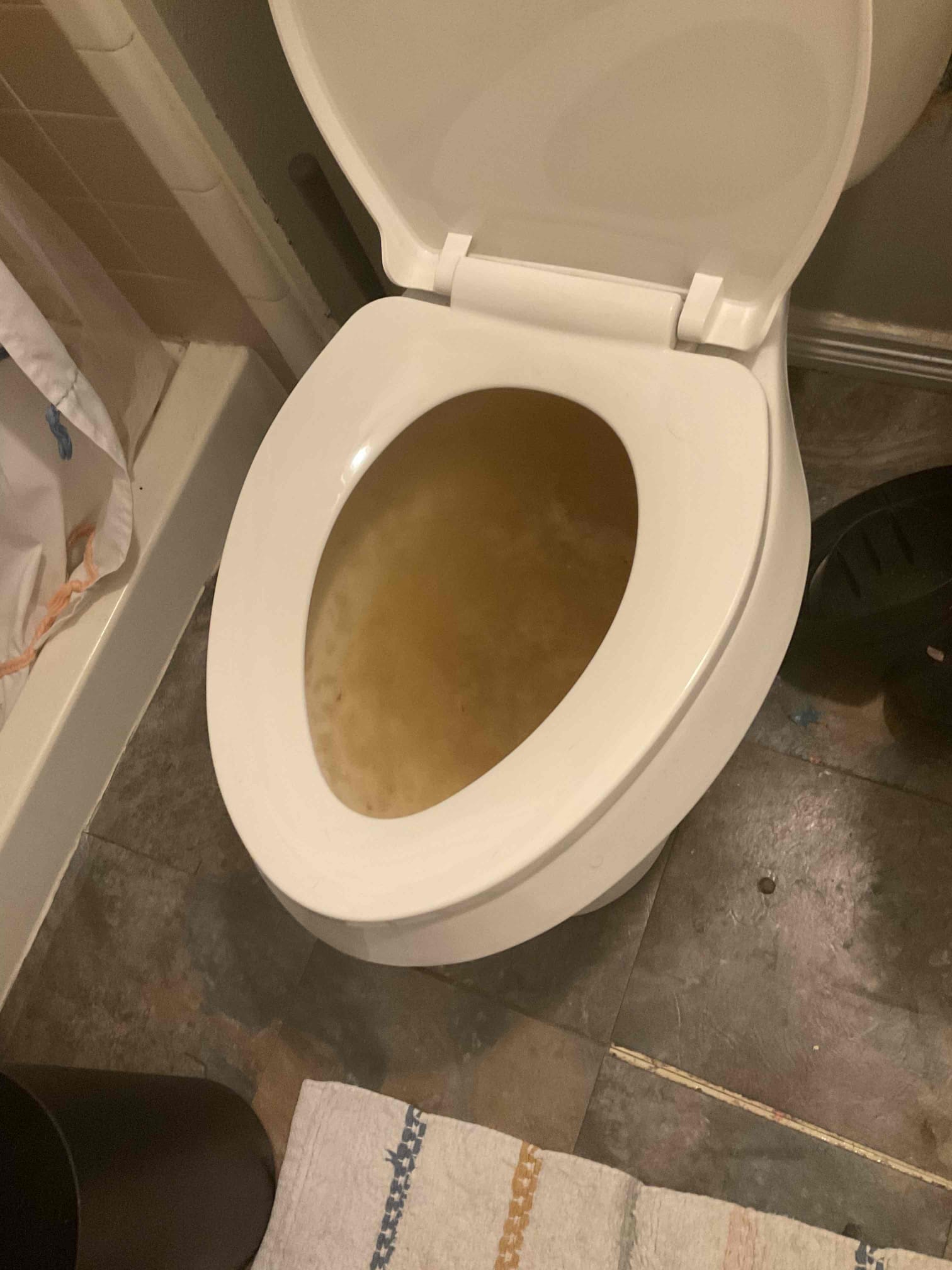 Attempt to auger main bath toilet due to blockage currently no flush.

** if toilet pull is needed price will increase **

Was able to successfully restore flow to toilet , tested multiple times and cleaned bowl for customer. Did give estimate for camera inspection due to age of system to check all accessible sewer piping. Customer explained she will need to talk to her husband about it.

** No warranty on auger ** 