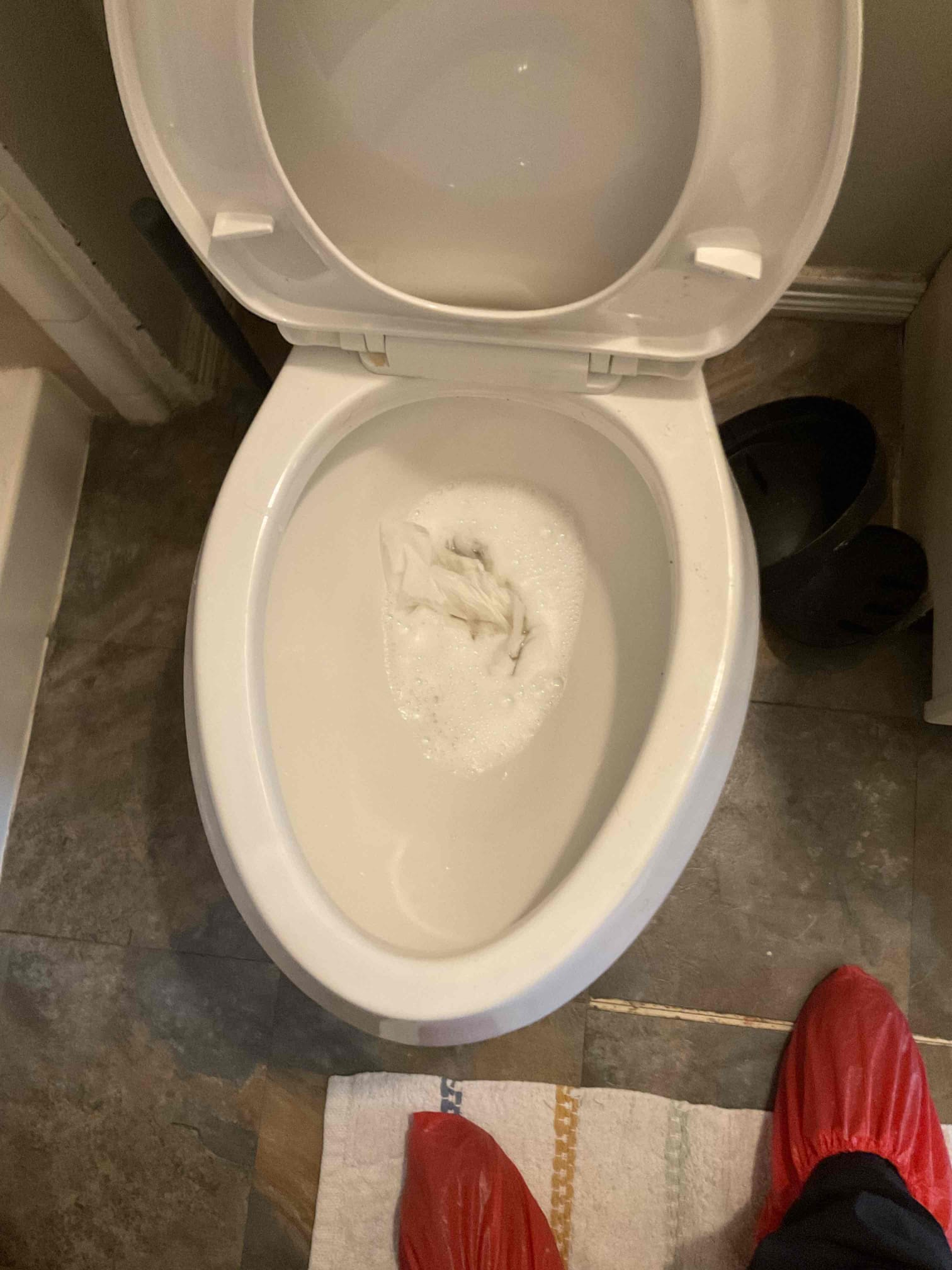 Attempt to auger main bath toilet due to blockage currently no flush.

** if toilet pull is needed price will increase **

Was able to successfully restore flow to toilet , tested multiple times and cleaned bowl for customer. Did give estimate for camera inspection due to age of system to check all accessible sewer piping. Customer explained she will need to talk to her husband about it.

** No warranty on auger ** 