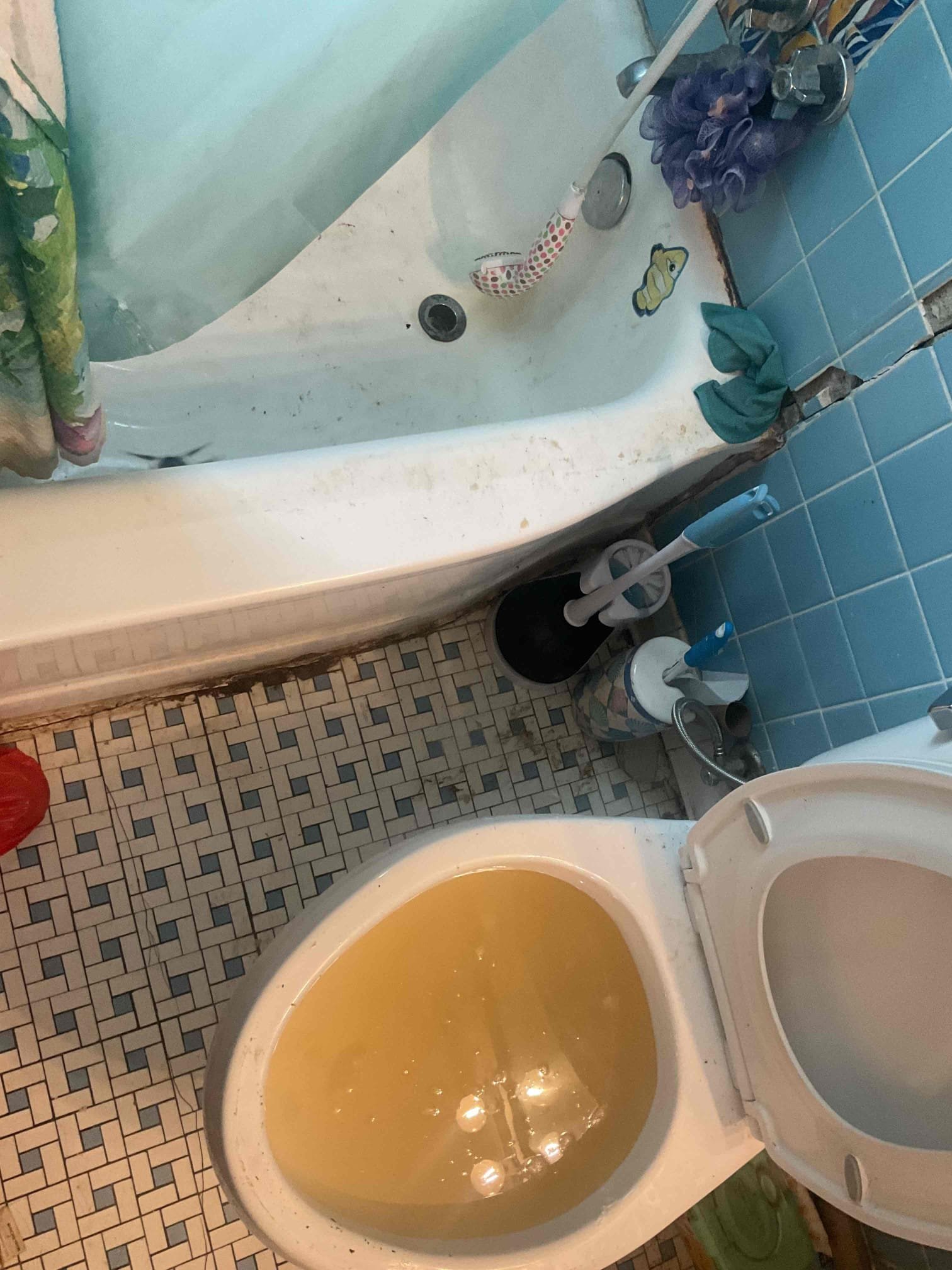 Restored flow to bathroom toilet with closet auger. No warranty for drain clear. Advised customer about pulling toilet and performing camera inspection. 