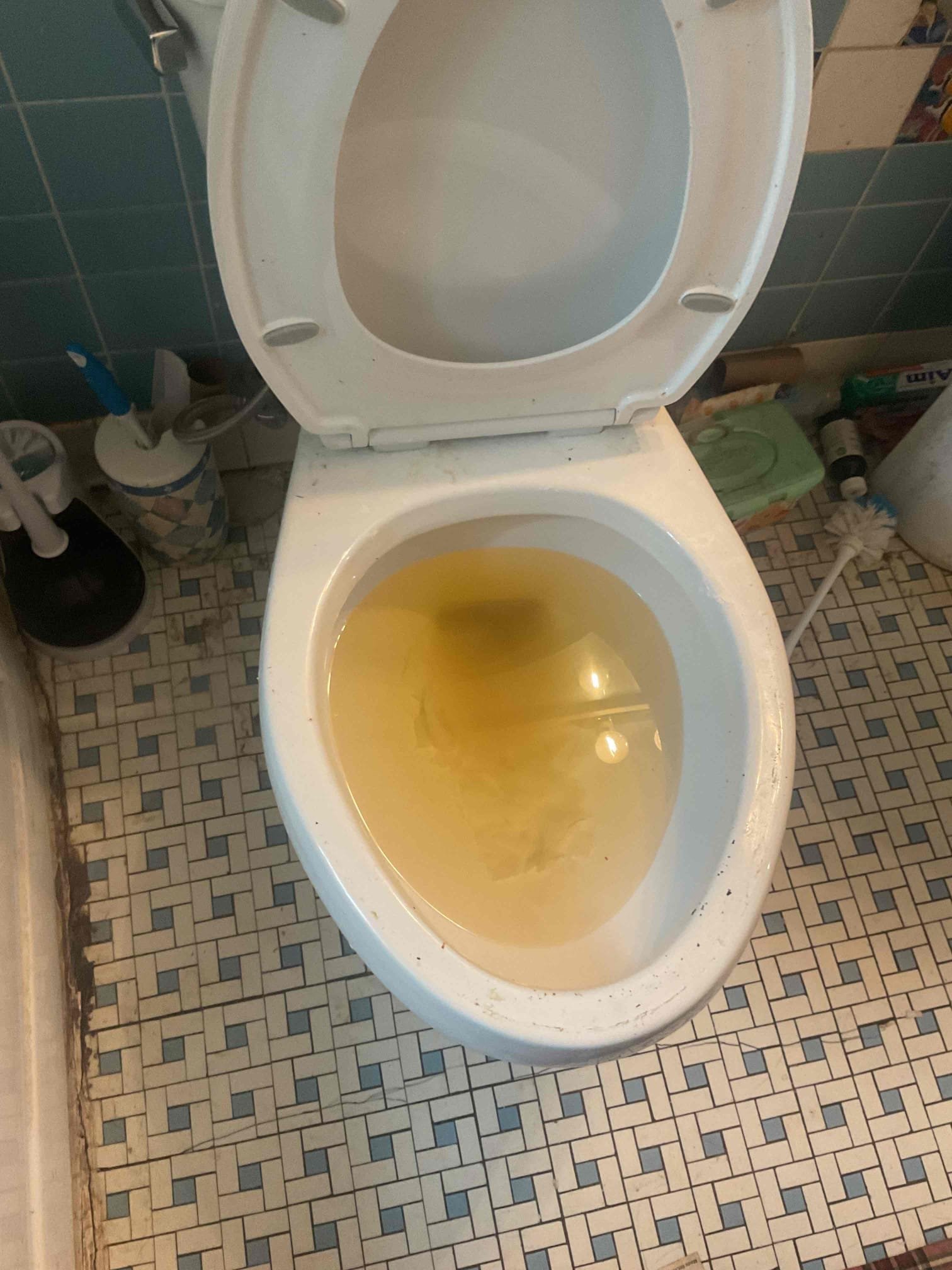 Restored flow to bathroom toilet with closet auger. No warranty for drain clear. Advised customer about pulling toilet and performing camera inspection. 