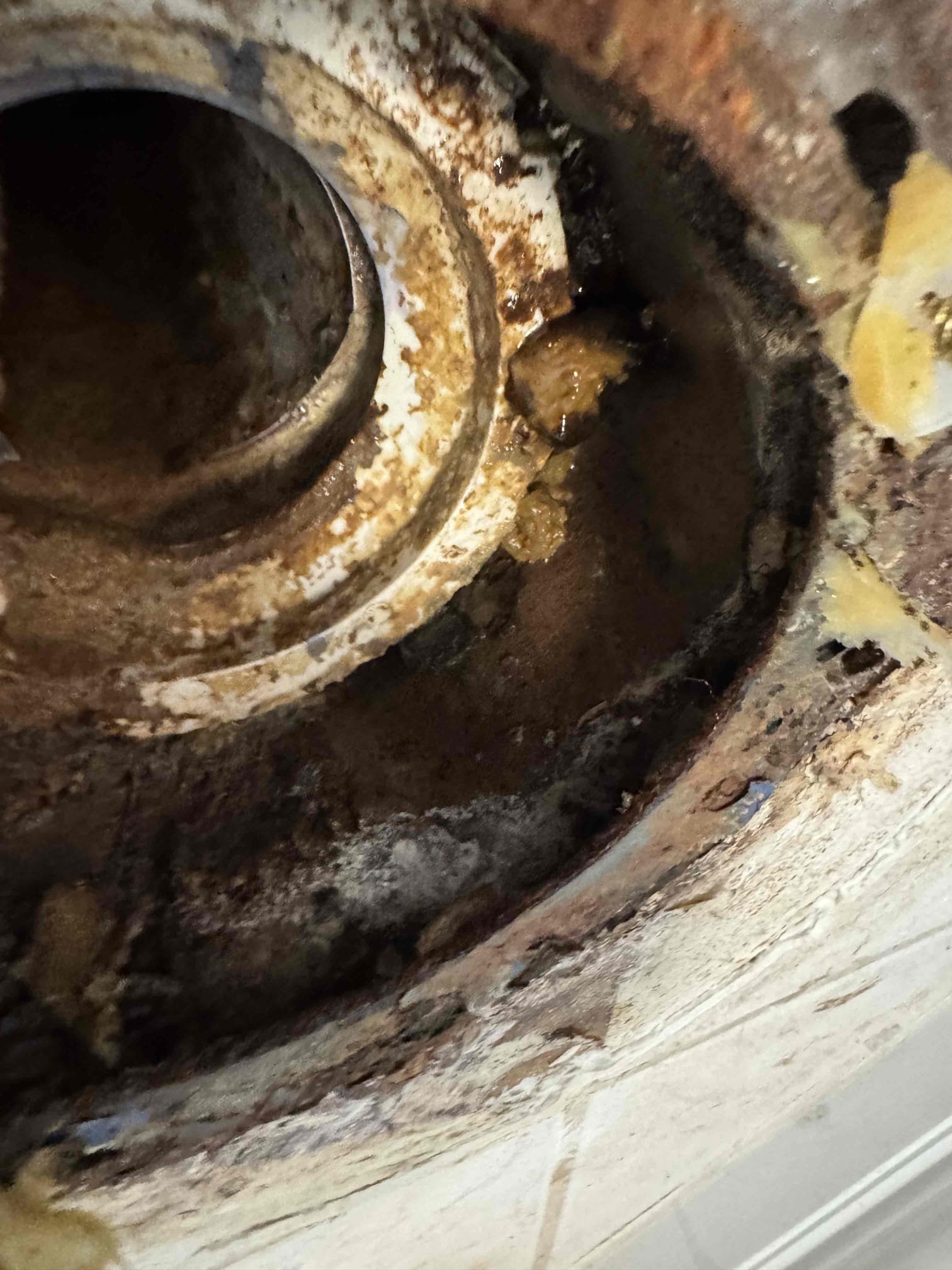 Due to failed static test on sewer system perform pin point testing to locate the leaking sewer connections under the slab. Pull and reset both toilets, Replace master bath toilet with customer supplied toilet. Replace emergency shutoff and supply line. After work is complete reset the second toilet. Replacing wax seal, closet bolts, water supply lines. If flanges need to be repaired then an additional estimate will be presented. 