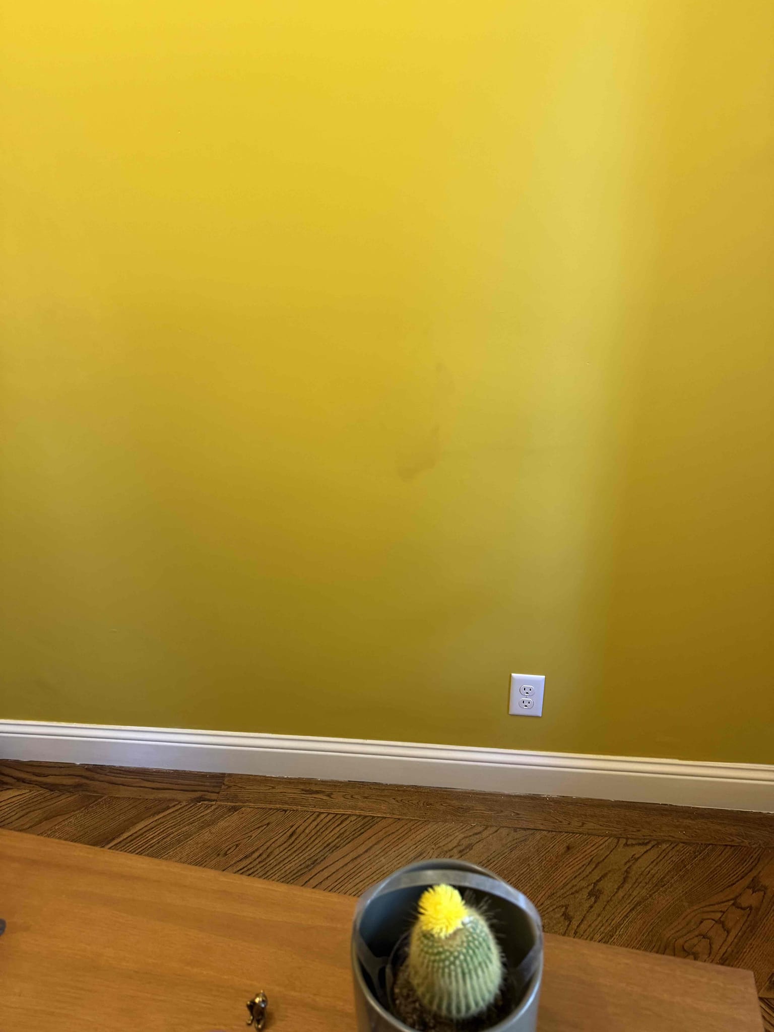 
1. Install 2 small chandeliers/ fixtures in the dining and entry way 
2. Install plug in entry way 
3. Install dimmer led in entry way 

Everything works with no issues and 5 year warranty only on labor. Customer is happy with today’s visit 