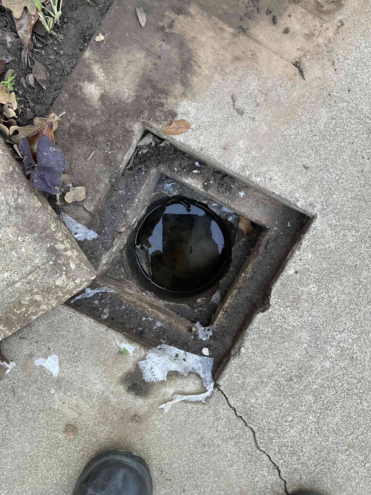 - Attempt to restore flow on main sewer line in yard due to complete back up currently.

No warranty on cable

Was able to successfully restore flow , however I did explain to customer as he was watching me that my cable was binding up very hard. Explained there are definitely bigger issues in the drainage. He needs a camera inspection preformed asap , he doesn’t want to preform one currently did explain this drain will back again if any solids are flushed.

Cleaned up the tools and trash

Emailed estimate for camera inspection 