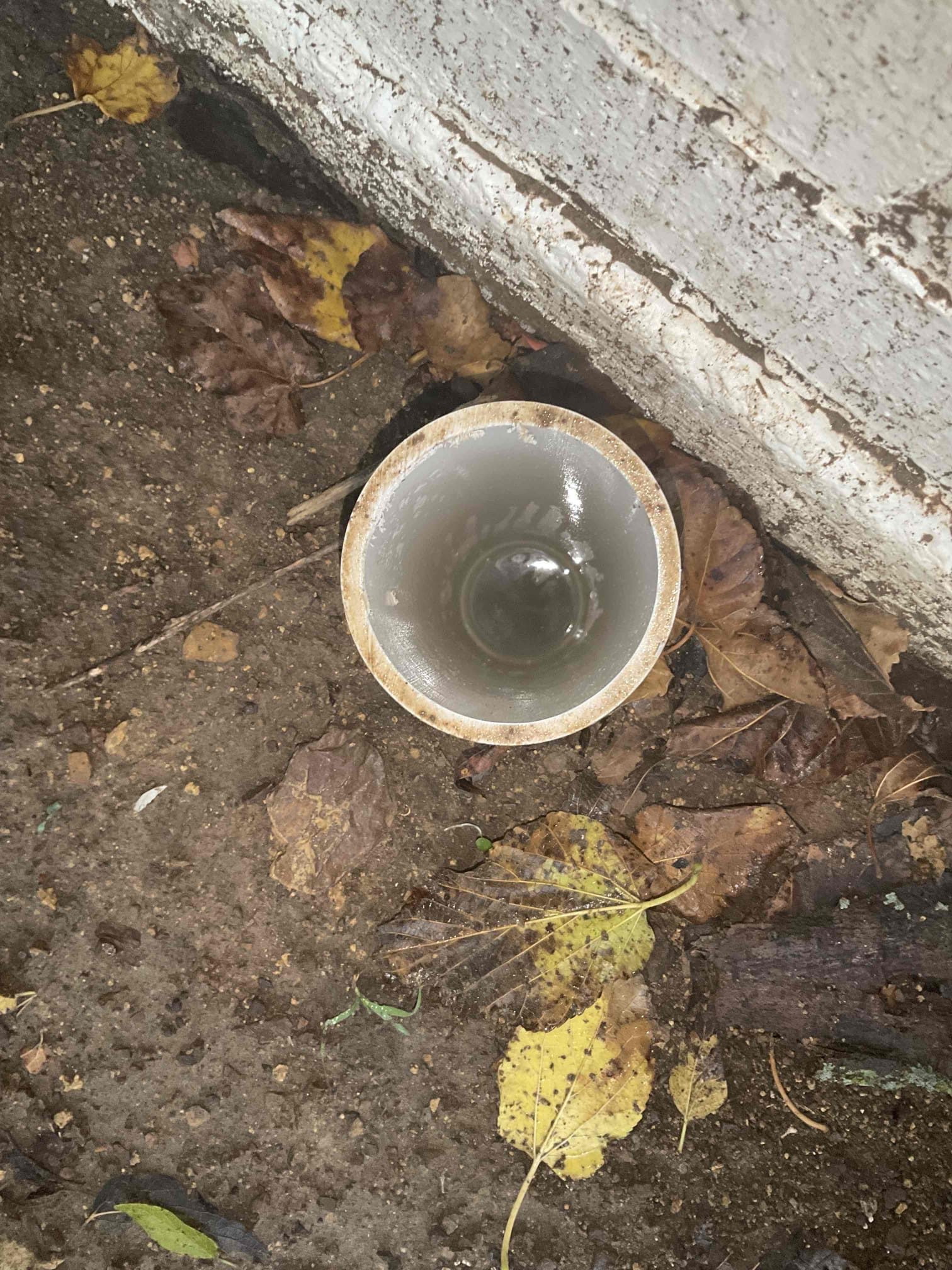 - Attempt to pop clog on main sewer line due to whole home backup from cleanouts.

No warranty on drain cable 

** successfully restored flow to main drain also pulled back roots indicating a bigger issue. Did explain to customer that a camera inspection needs to be preformed to find and fix current issues on system **

He doesn’t want to get a camera inspection done at this time did let him know the drain will back up again because there are bigger issues.

Quotes are good for 30 days