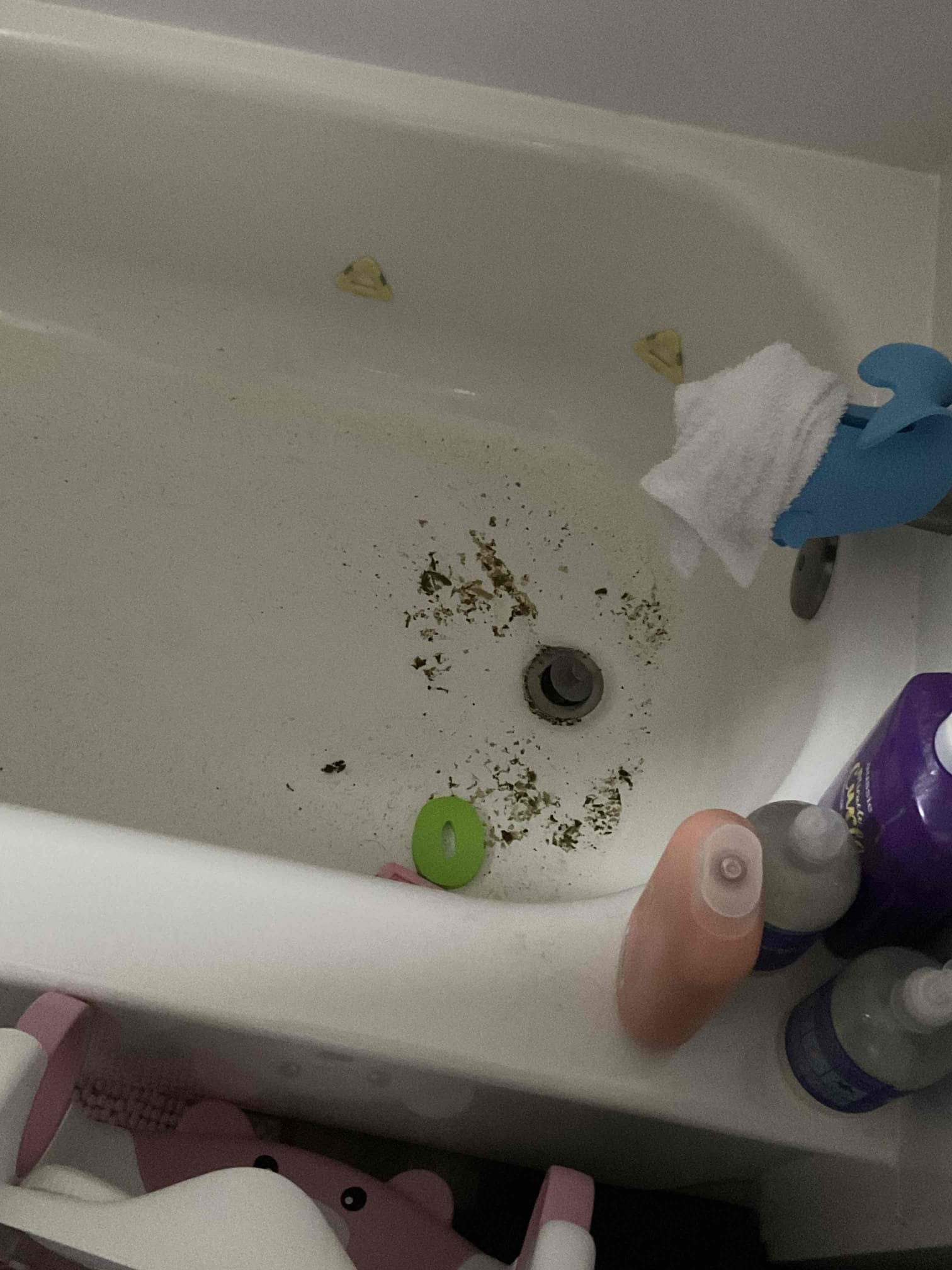 - attempt to restore flow to main sewer line from end of line clean out on back on home.

** if roof access or toilet pull needed price will increase **

 No warranty on cable 

- Preform camera inspection on main sewer line from end of line cleanout in backyard all the way to city main.

Solutions will be given for any issues found

Gave estimates for issues found supervisor will email estimates to customer and explained everything about the work needed.