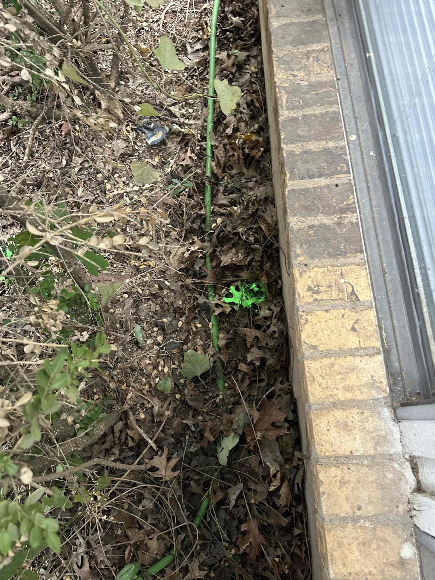 - attempt to restore flow to main sewer line from end of line clean out on back on home.

** if roof access or toilet pull needed price will increase **

 No warranty on cable 

- Preform camera inspection on main sewer line from end of line cleanout in backyard all the way to city main.

Solutions will be given for any issues found

Gave estimates for issues found supervisor will email estimates to customer and explained everything about the work needed.