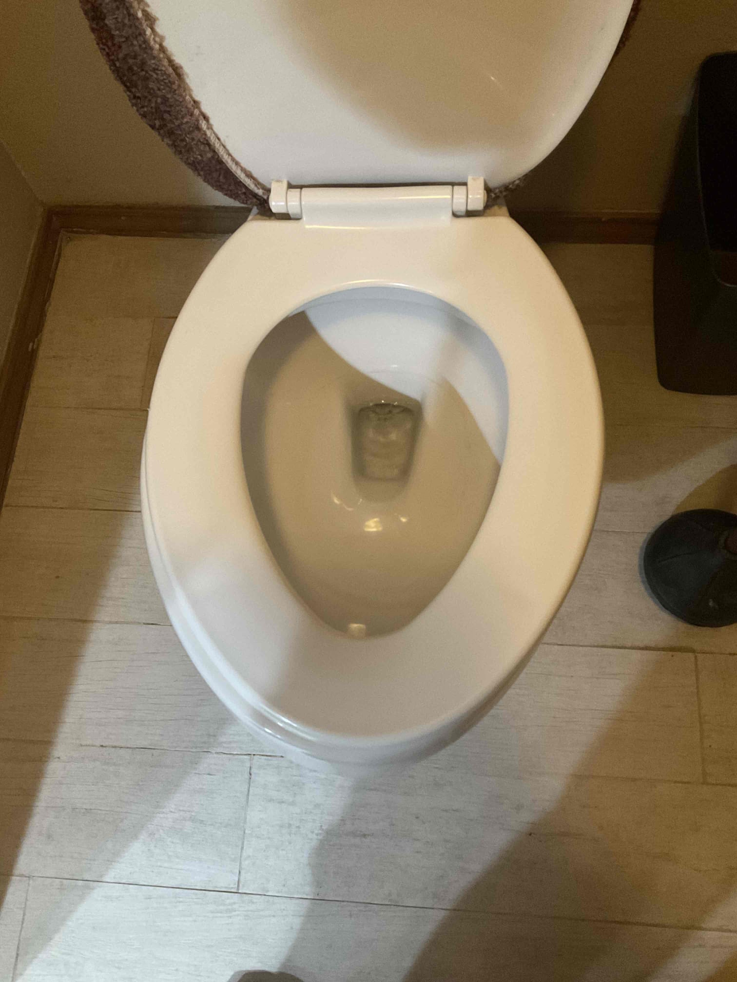 - attempt to restore flow to main drain due to complete blockage in yard.
- Preform camera inspection on main sewer piping from home to street to check condition and any issues in piping.

** estimates will be given for any issues found **

Did find issue in yard line and explained the repair needed , customer does want to get another quote to compare.

Quotes are good for 30 days.