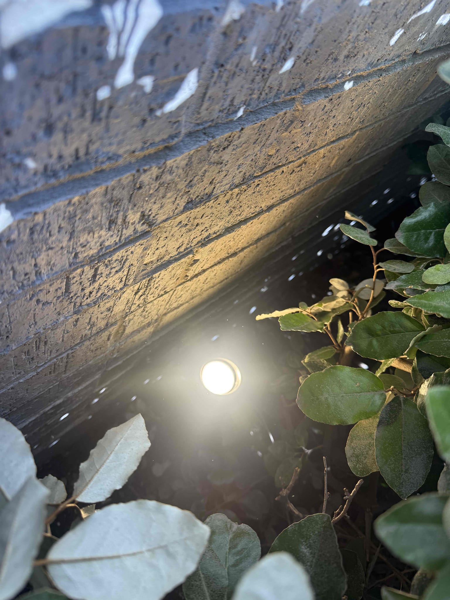 Customer was having an issue with an arc fault breaker for entryway can trims and outdoor up lights and sconce slides stripping. Explain to customer the breaker tripping could be anything in the lights or it could be the wrap up lights outside. Customers were claiming that it only cuts off when it rains outside. Explain to customer it’s only an art fall breaker and not a GFCI, but potentially could be the reason the breaker is tripping due to water getting in the lights. Gave different options and explained to customer that if we have to come back out, we will automatically charge for a major troubleshoot. Customer just wanted to replace the upload today to see if that will fix issue and said that she is fine with calling back later if the issue persist.

1. Replace all uplights outside x4
5 year warranty 

Replaced four uplights with new LED sealed RAB uplights 