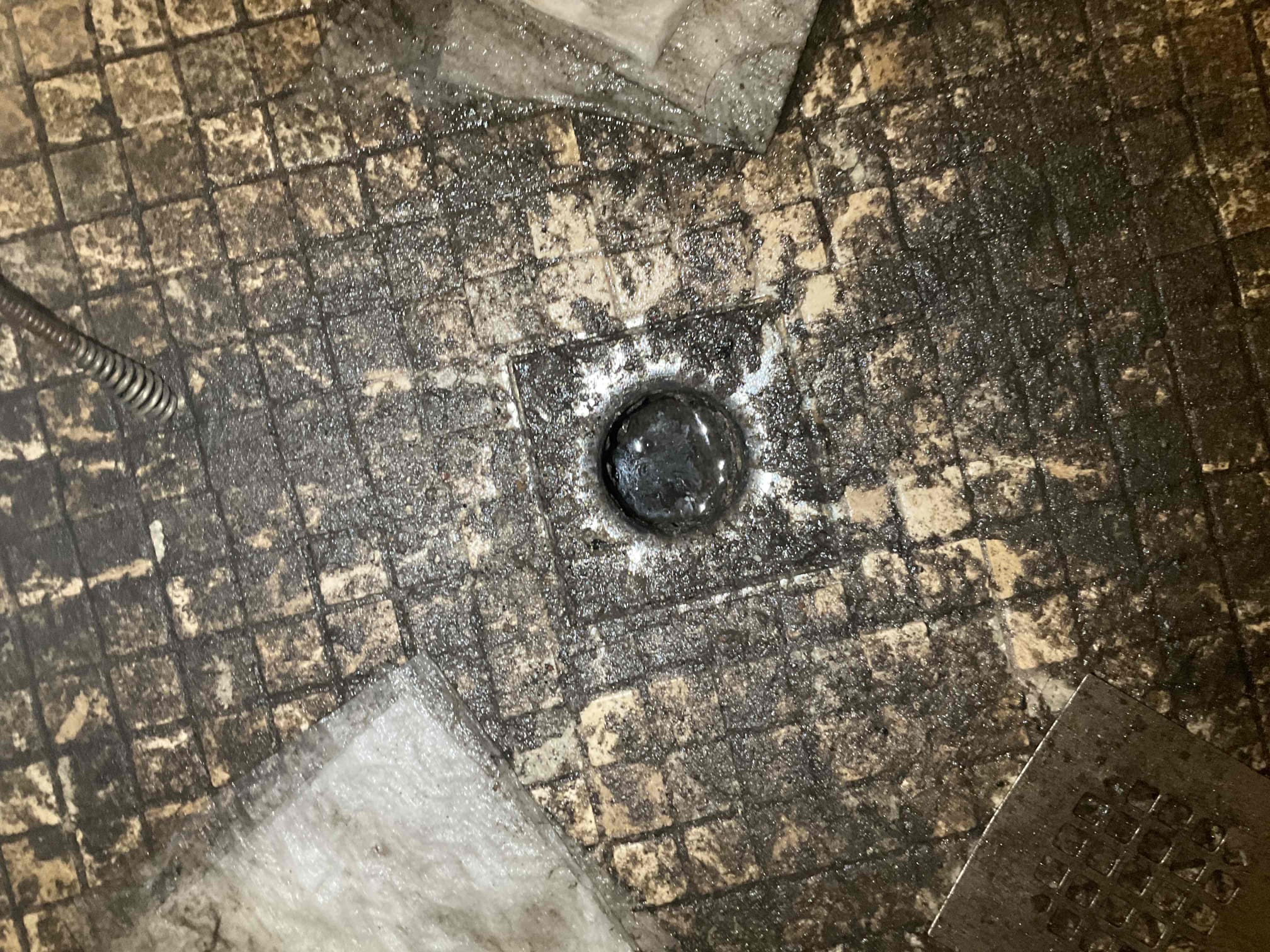 Customer calls out for a clogged drain gave estimate for roof access. Customer said it was too high called supervisor to see if there’s anything he could do about it. He took 5% off. Also gave an estimate for attempting through the shower with the drain special. Customer is not going to be moving forward with any work today.