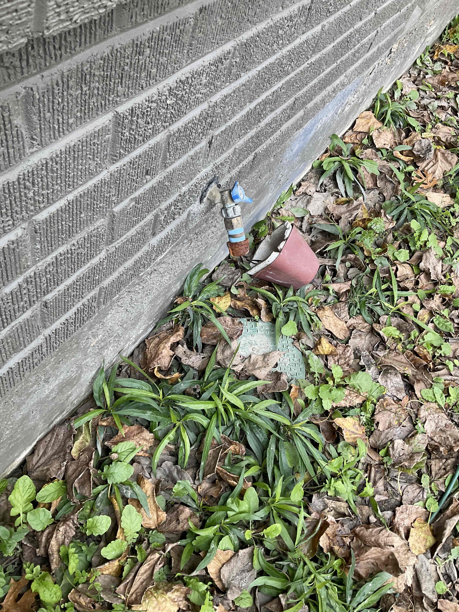 - Replace front hose bib on home due to age and condition w new premium sillcock. Includes vacuum breaker per code.

** 5yr warranty on work **

** if under home access needed for front hose bib pricing will increase **

Was able to successfully replace old hose bib from the front without going under the home tested work. No leaks showed homeowner the finish product. He is satisfied did put some caulk around the sillcock to seal it from bugs