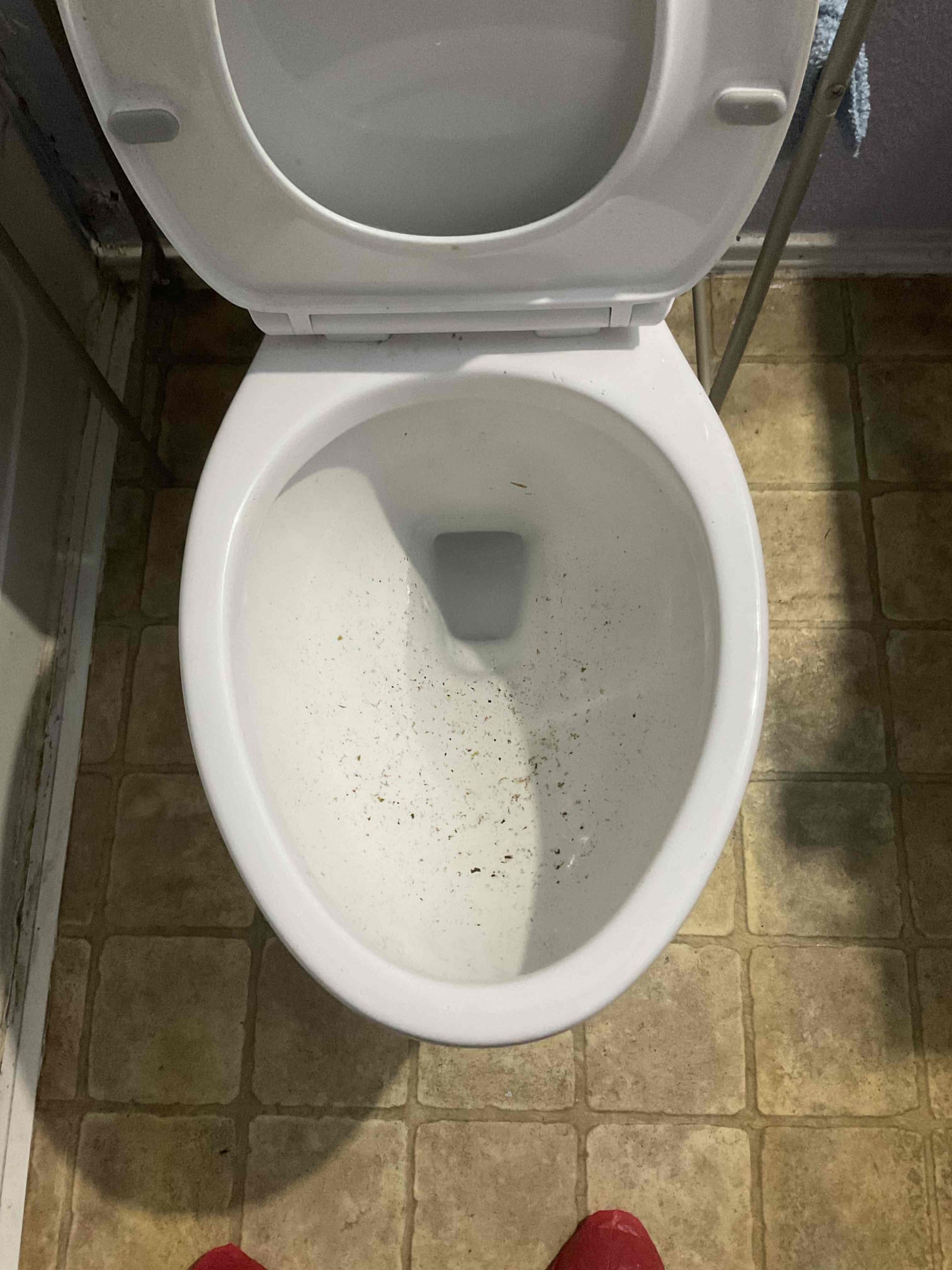 - Attempt to restore flow to main sewer line due to whole home backup currently somewhere in yard line.

** no warranty on drain cable **

Explained to customer camera is needed to inspect the drainage system, he declined due to pricing , called supervisor and he was able to take off $100. However customer stated he’ll wait for it to happen again. Did explain the issue isn’t going to fix itself and isn’t going to get better until fixed.