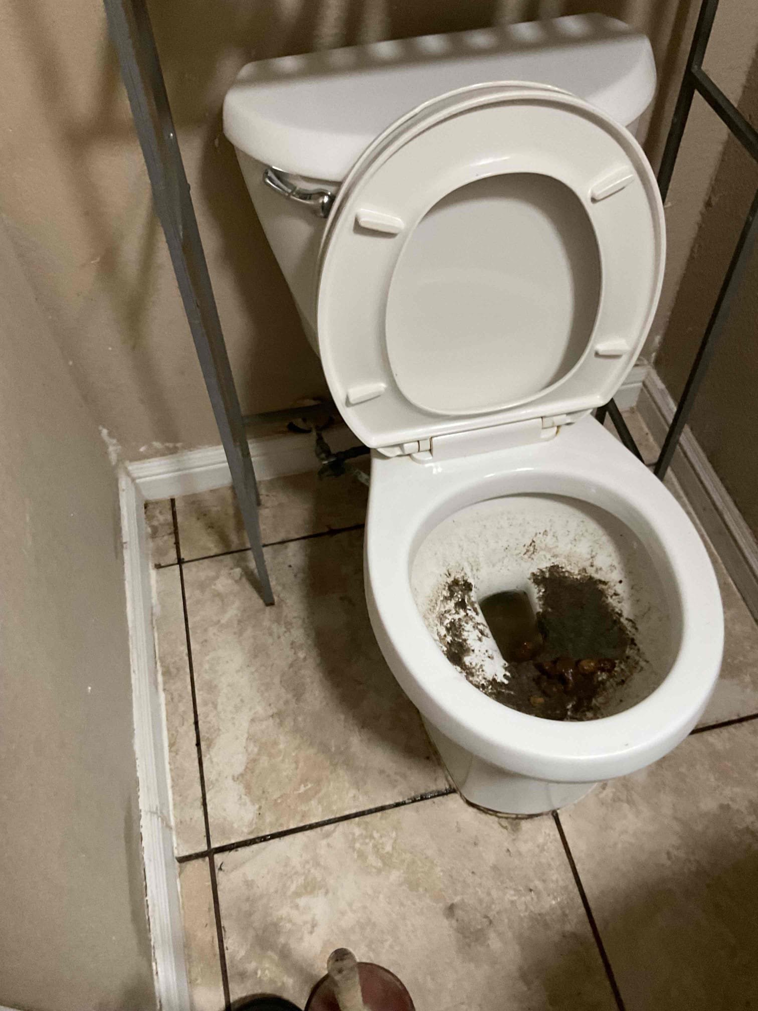 Gave tenant estimate to pull and reset toilet and attempt to restore flow to drain. Unable to get ahold of land lord to approve work. 