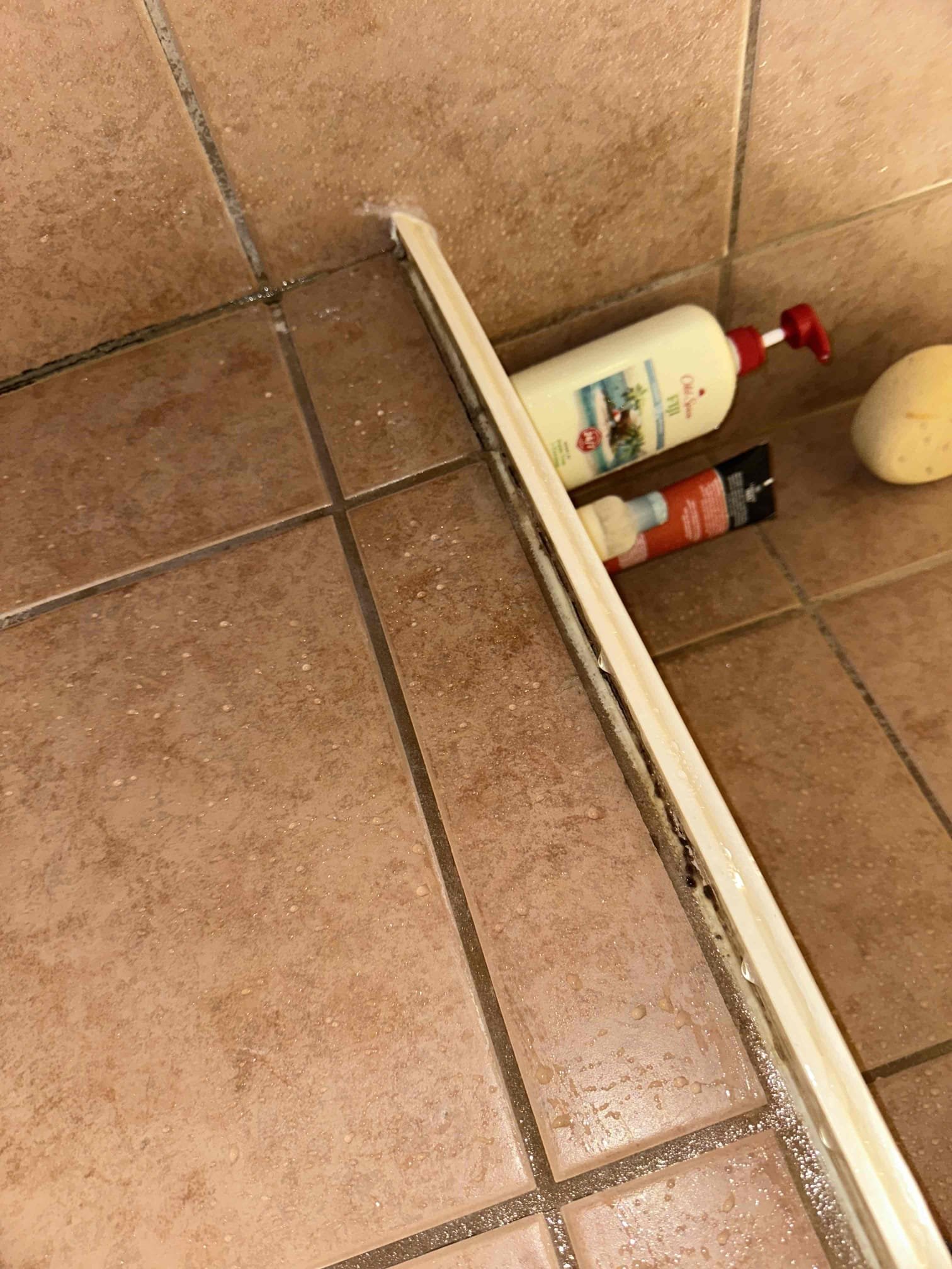 - remove face plate for main bath shower valve and look into wall to try to figure out what is causing the leak

Was unable to remove faceplate so I let customer know we could cut a hole behind valve however we are not liable for drywall damage or repair 

Preform shower pan test on main bath shower due to potential leak on one piece pan.

** if test fails pricing will be given for repairs needed **

Will return 2 to 5 tomorrow to perform shower pan test

Performed pan test also tested drain No leaks occurred during the process. Let homeowner know that the seal around the shower itself and around the seat does not look good. That is most likely the issue if not the seat itself.

She will need to contact the tile guy to do that work.