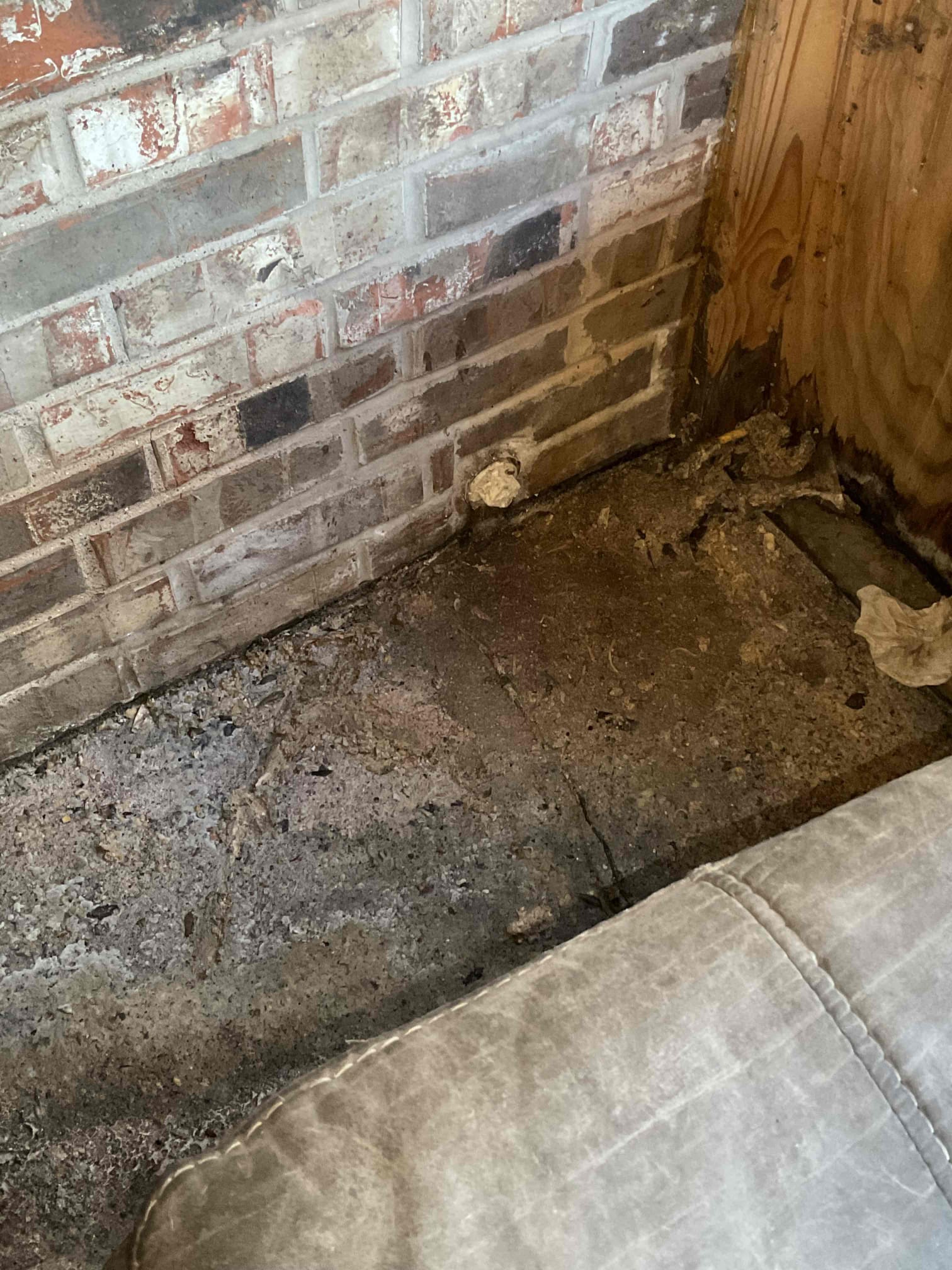 - Attempt to restore flow to kitchen / laundry line due to slow / no drainage currently.

** no warranty on cable **

- successfully restored flow to drain line , tested with sink and water hose in cleanout for 10min no water was coming back up.

Did explain to homeowners that a camera is very crucial as soon as possible to figure out what exactly is going on inside the pipe due to my cable binding up very bad and a massive amount of grease in sink and outside.

- customer declined camera inspection said he’ll wait till after Christmas 

** quotes are good for 30 days **