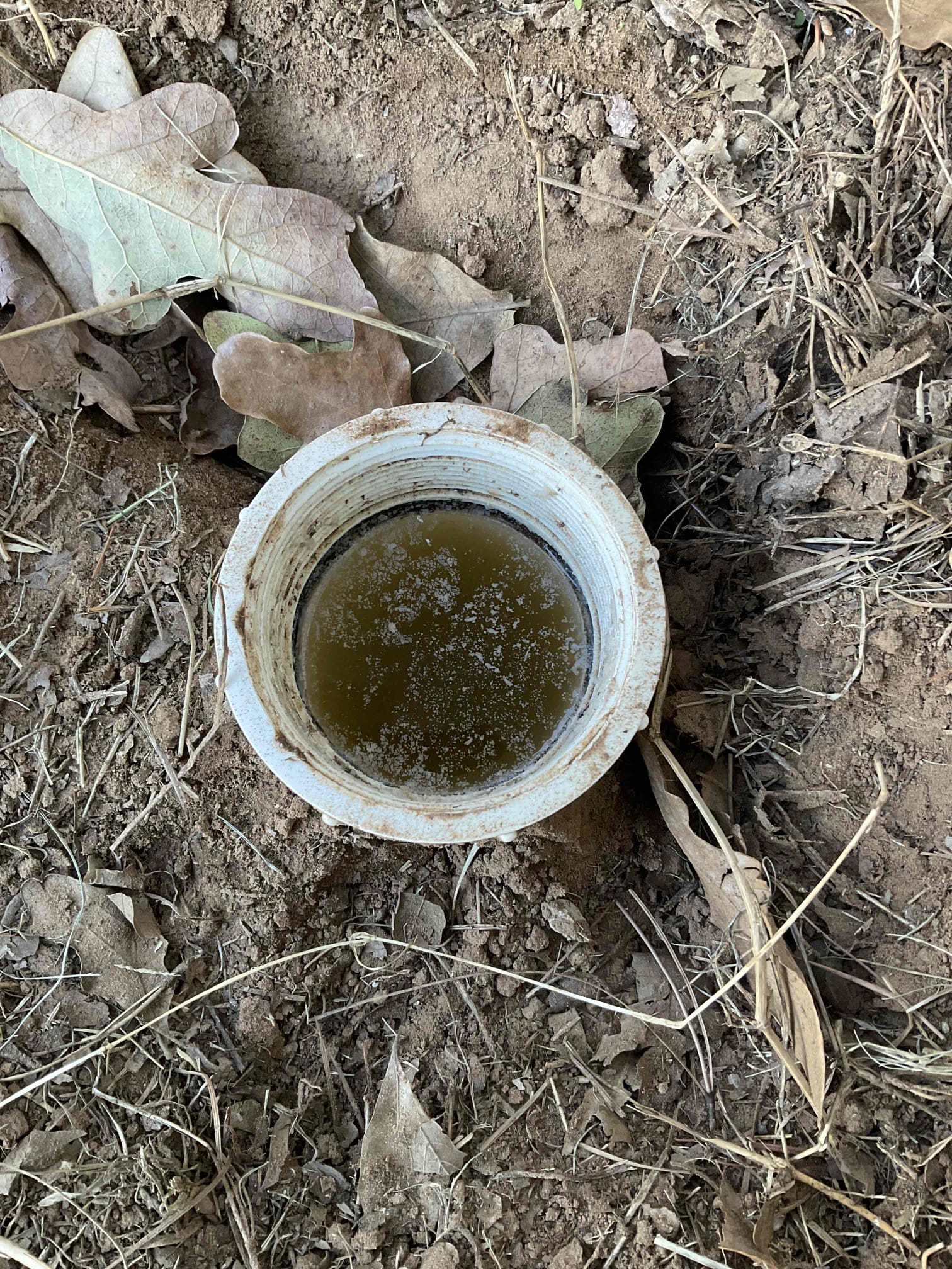- attempt to restore flow to main sewer in yard going to septic tank.

Successfully restore flow did let homeowner know that a camera inspection is needed to look inside piping for the cause of the current issue he declined the inspection.

** no warranty on cable **