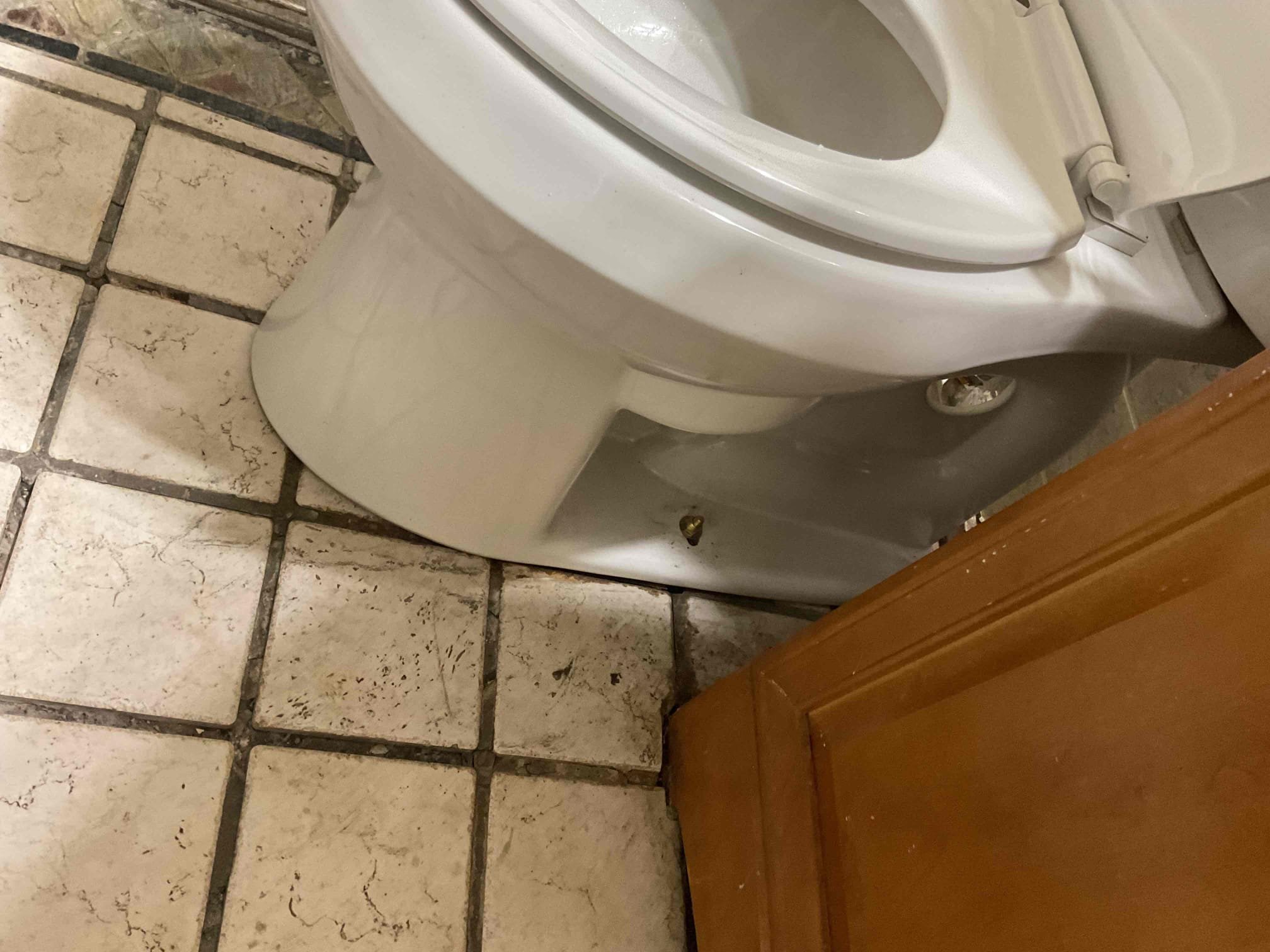 Pulled and reset toilet. Replaced wax seal, closet bolts and water supply line. Flange is in very poor condition and needs to be replaced. Customer is aware that the toilet is not set properly due to the condition of the flange. Attempted to restore flow to drain. The water level dropped in the sewer pipe and then filled back up again. Performed camera inspection and found that pipe is compromised and needs to be replaced. 