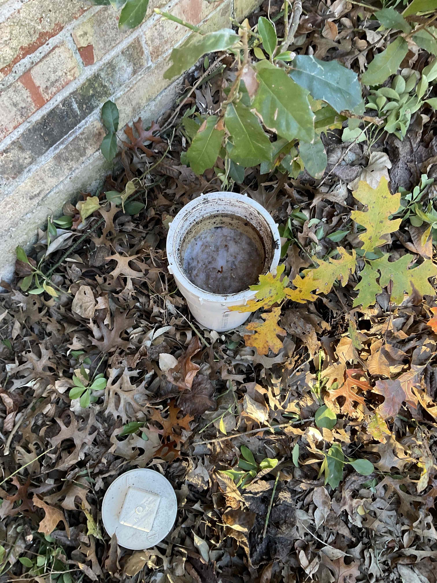 - attempt to restore flow to main line w cable due to complete backup currently. 

- attempted to restore flow multiple times from cleanouts in yard however was unsuccessful did pull back roots indicating bigger issue did explain to customer the next step is a bigger machine or jetting an additional cost. However, customer wants to call his usual plumber first.

I did email the estimates to homeowner and they are good for 30 days.