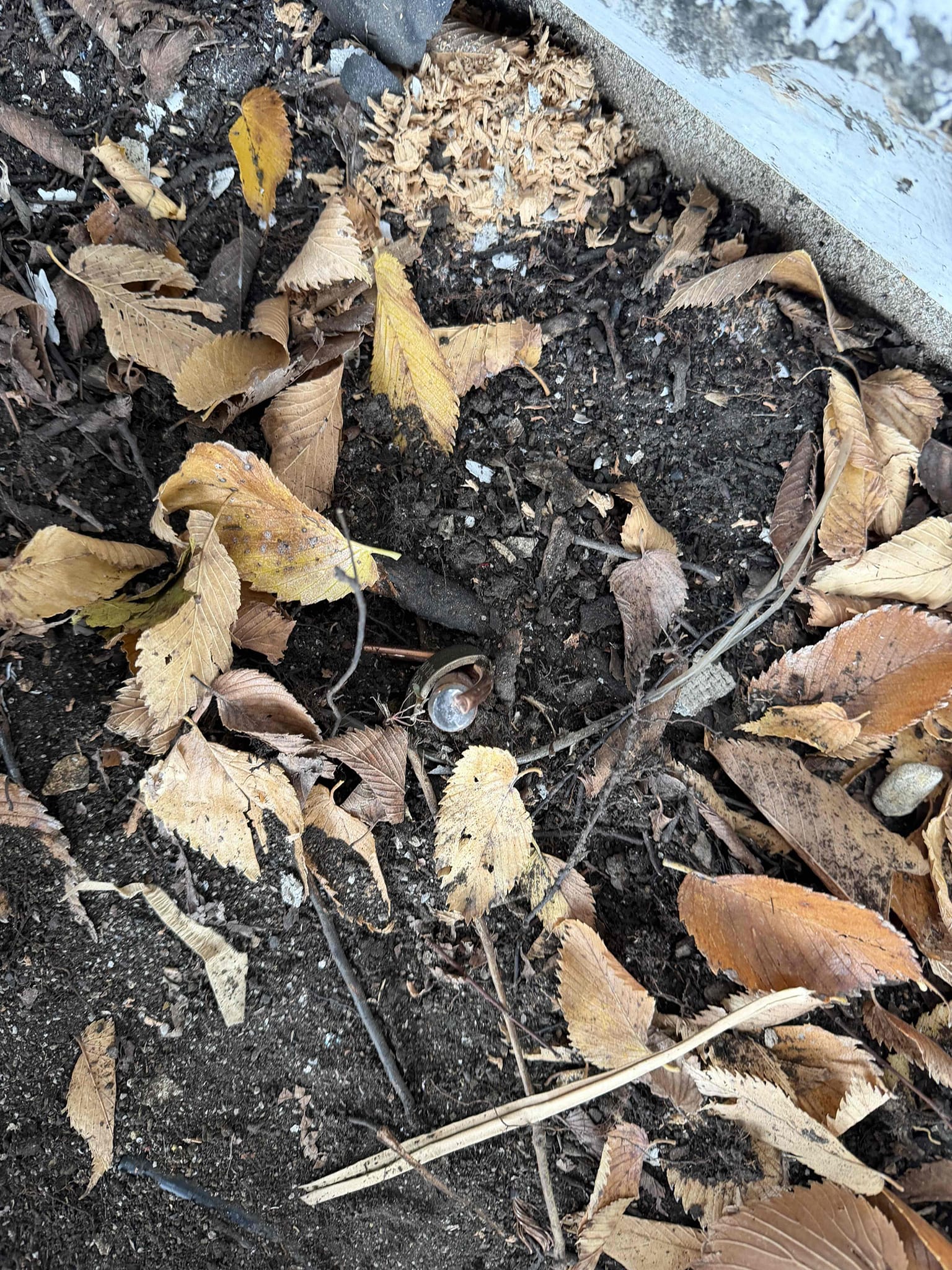 Troubleshooting oven circuit 
1. Replace 200 amp panel outdoor (lifetime warranty) 
2. Replace overhead meter base and service (lifetime warranty)
3. Install whole home surge protection (lifetime warranty) 
4. Install 8ft copper ground rod
5. Install cold water bond 
6. City permit and inspection 
7. Hardwired smokes and carbon 
8. Dedicated Oven circuit 
9. Dedicated washer circuit (free) 
10. Install gfci outlets in wet locations

*$220 charge from oncore*
*minimum 5 year warranty only everything*


Wednesday the 17th 
Disconnect 9:00 
Reconnect 3:00 

Down payment check for 5k 

Replaced outdoor 200 amp panel on side of home and replaced overhead service.  Properly grounded panel with ground rod and cold water bond.  Ran dedicated 20 and 50 amp circuit to kitchen for washer and range.  Installed battery power smokes in required locations.  
