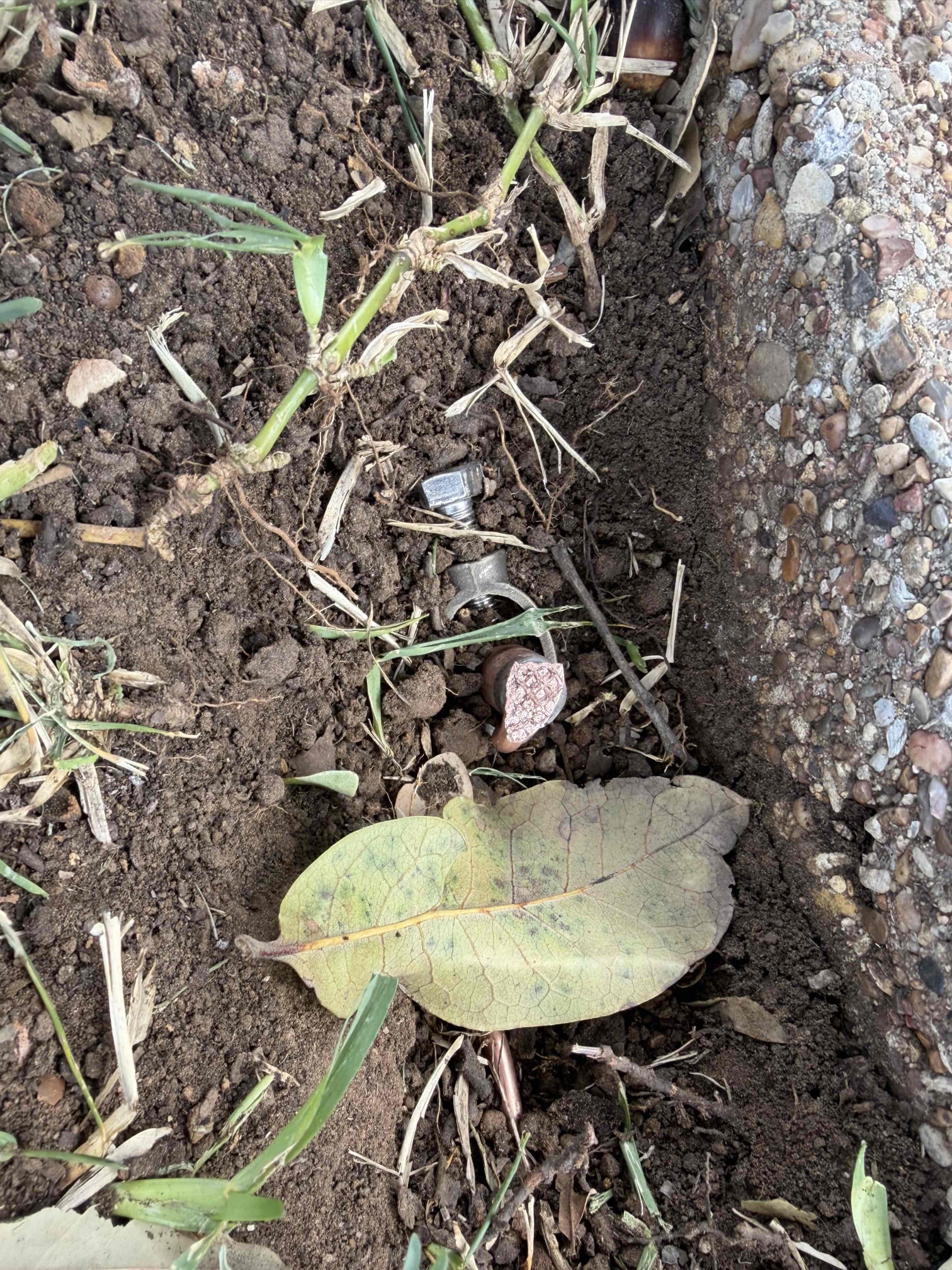     1.    Replace two main breaker panels located inside the garage
    •    Includes lifetime warranty
    2.    Install two exterior service disconnects for the new main panels
    •    Includes lifetime warranty
    3.    Install two whole-home surge protection devices
    •    Lifetime warranty
    •    Rated up to 108,000 amps of protection
    4.    Install proper grounding system, including:
    •    Two 8-foot copper ground rods driven into the ground
    •    Two cold-water ground bonds with proper clamps
    5.    Pull and secure a city permit to ensure work is inspected and passes local code requirements.
    6.    Install two 50-amp portable generator inlet outlets, one for each main panel.
    7.    Install two generator interlock kits on each main breaker panel for safe generator operation.
    8.    Relocate existing sub-panel wires into one of the new main panels.
    9.    Add circuit extension wiring as needed to supply power to each generator inlet (free)

Arrived on