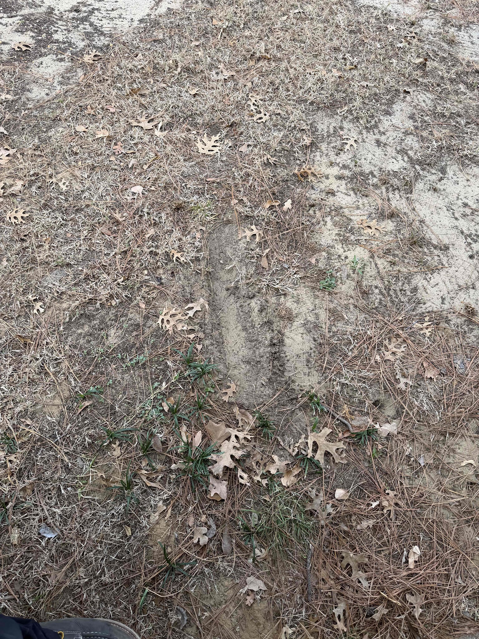 Client called regarding a backed-up sewer system. This is not the first occurrence of this issue. The client reported that other plumbers have previously addressed the problem. Approximately one year ago, during a similar backup, a plumber accessed the roof to cable the line and ran a camera inspection, which revealed the sewer pipe was compromised at the city connection. The homeowner contacted the city at that time, and although the city responded, no repairs were made.


Last night, after a shower was used, the homeowner heard gurgling sounds in the bathrooms and suspected the sewer line was backing up again. This morning, the homeowner’s wife started a load of laundry before leaving the house. When the homeowner later went to use the bathroom, the master bathroom shower had overflowed, causing flooding in that bathroom.


There are accessible cleanouts located at both the laundry and kitchen drains, but nothing directly into the mainline. The plan is to set up the cable machine in 