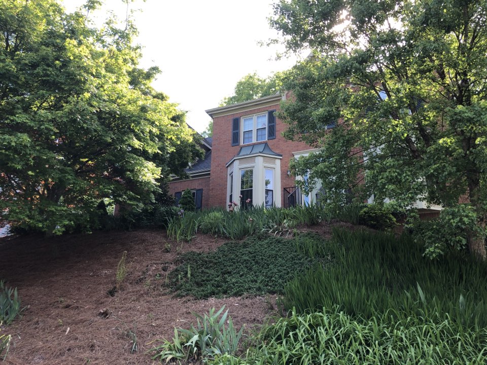 Quoting painting and Rotten wood replacement Quoting painting and Rotten wood replacement