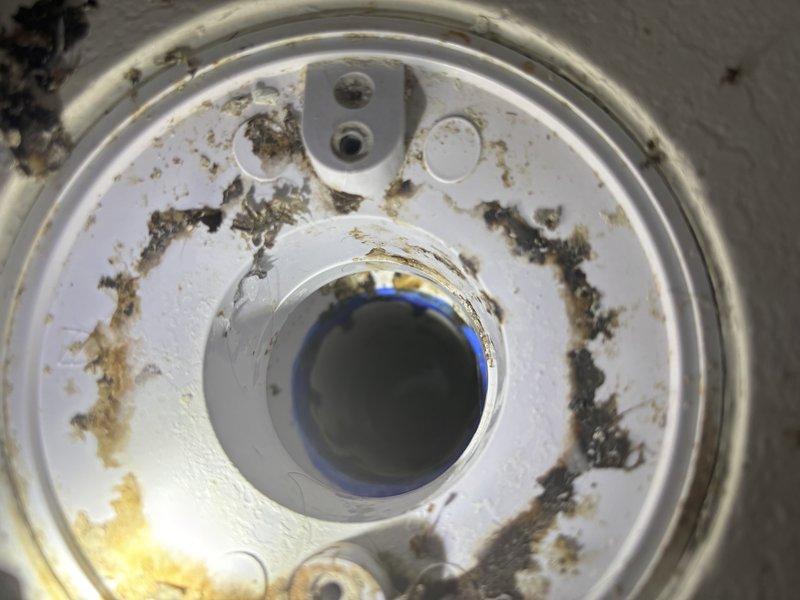 Responded to a completely clogged master bathroom shower drain with no drainage. Upon inspection, found significant buildup and debris accumulation within the drain assembly and visible staining around the fixture. Successfully cleared the obstruction using mechanical drain cleaning methods, restoring full drainage function to the shower.