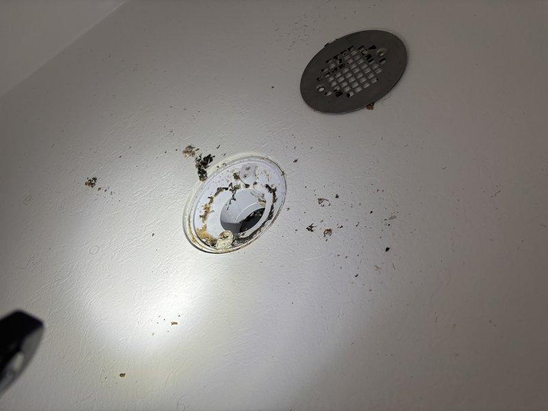 Responded to a completely clogged master bathroom shower drain with no drainage. Upon inspection, found significant buildup and debris accumulation within the drain assembly and visible staining around the fixture. Successfully cleared the obstruction using mechanical drain cleaning methods, restoring full drainage function to the shower.
