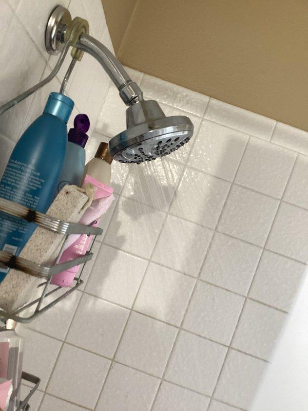 Completed membership plumbing inspection of residential property. Inspected bathroom fixtures including shower system with chrome fixtures and toilet tank components. Evaluated toilet flush mechanism, float assembly, and fill valve operation in response to reported slow flushing issue. Documented condition of internal tank components showing normal mineral buildup and verified water level settings. Assessed shower head water pressure and flow during operation.