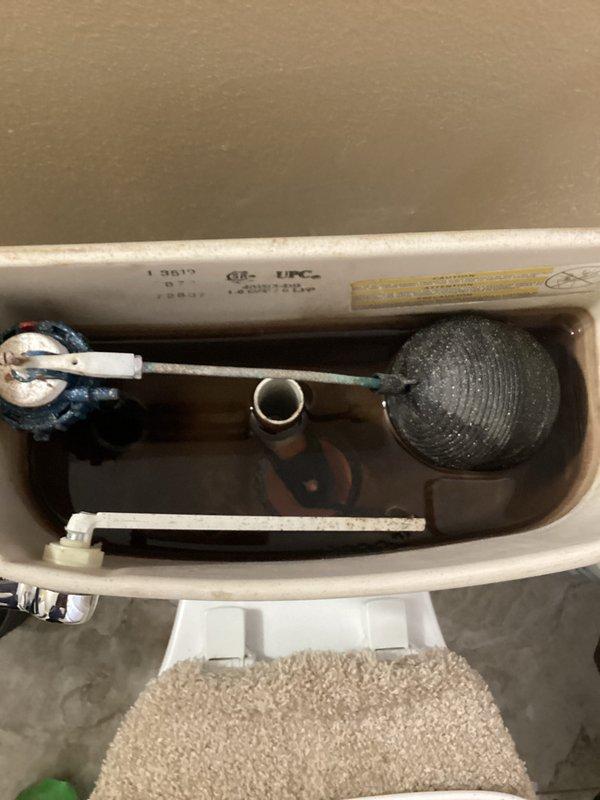 Completed membership plumbing inspection of residential property. Inspected bathroom fixtures including shower system with chrome fixtures and toilet tank components. Evaluated toilet flush mechanism, float assembly, and fill valve operation in response to reported slow flushing issue. Documented condition of internal tank components showing normal mineral buildup and verified water level settings. Assessed shower head water pressure and flow during operation.