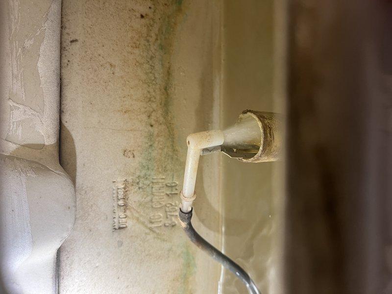 Completed annual plumbing membership inspection on tanked water heater unit under 6 years old. Performed comprehensive water heater flush and inspection per membership protocol. Inspected PVC plumbing connections and electrical components. Noted visible moisture staining and biological growth on wall surfaces near plumbing penetrations, indicating previous or ongoing moisture exposure in utility area. All water heater components functioning within normal parameters at time of inspection.
