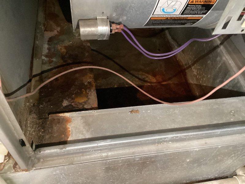 Responded to service call for continuous water pooling under basement furnace with inconsistent cooling on 15+ year old system. Upon inspection, discovered severely corroded evaporator coil and drain pan with extensive rust damage and mineral buildup causing drainage failure. Performed Cool 10+ preventive maintenance including system inspection, temperature diagnostics measuring 438°F at attic unit, coil assessment, and documentation of deteriorated components requiring replacement to resolve water intrusion affecting baseboards and insulation.