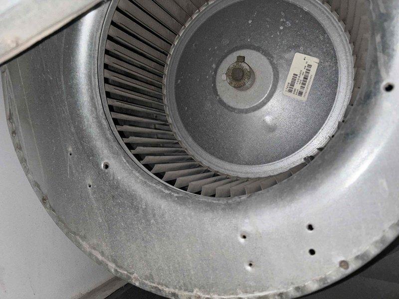 Responded to no cooling complaint on system over 10 years old. Upon inspection, found blower wheel assembly with significant dust and debris accumulation affecting airflow and system performance. Removed and cleaned squirrel cage blower fan and housing to restore proper air circulation. System tested and confirmed operational with adequate cooling restored.