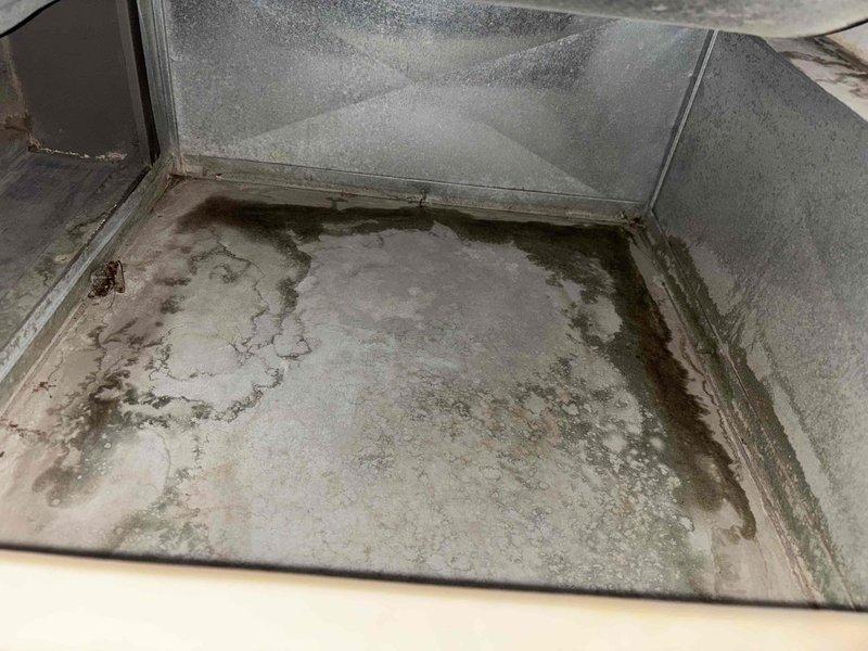 Responded to no cooling complaint on system over 10 years old. Upon inspection, found blower wheel assembly with significant dust and debris accumulation affecting airflow and system performance. Removed and cleaned squirrel cage blower fan and housing to restore proper air circulation. System tested and confirmed operational with adequate cooling restored.