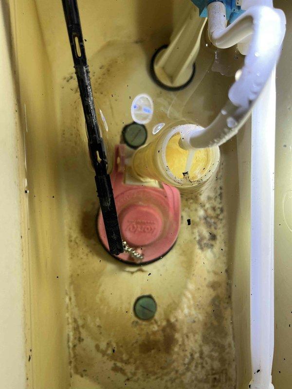 Responded to master bathroom toilet leak originating from tank-to-bowl connection. Upon inspection, identified compromised tank-to-bowl gasket and mounting hardware following recent municipal water line work that caused pressure surge. Removed toilet tank, replaced deteriorated spud washer and tank bolts with new components, reassembled unit, and tested for proper seal and functionality with no further leakage detected.