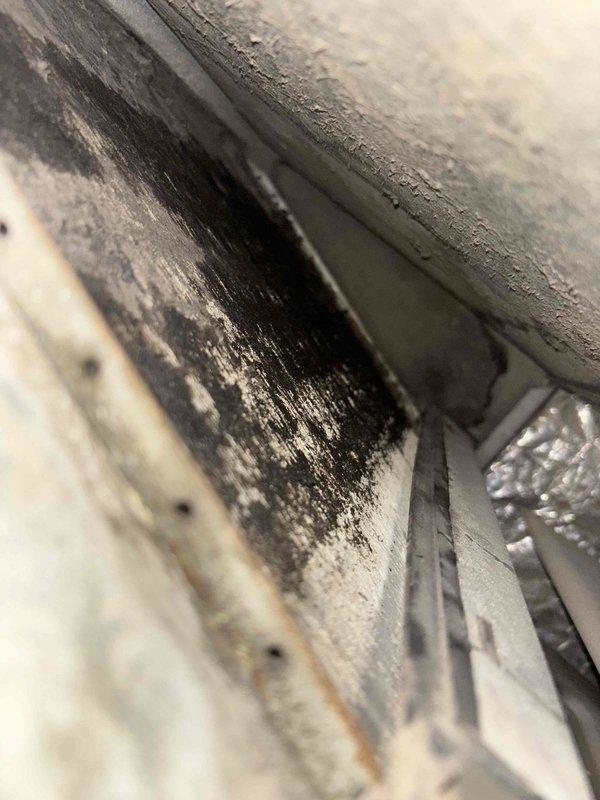 Responded to no cooling complaint on 29-year-old single-zone system with outdoor condenser at ground level and furnace in basement. Customer reported unit running but no cool air through vents, with previous freezing condition that had since cleared. Upon arrival, performed comprehensive Cool 10+ diagnostic evaluation including visual inspection of both indoor and outdoor components. Inspection revealed significant black contamination and sooty buildup on interior ductwork surfaces near air handler, indicating potential mold growth or environmental deposits requiring attention. Examined refrigerant lines showing normal condition with proper insulation intact. Conducted system performance testing to evaluate airflow, refrigerant pressures, electrical components, and blower motor operation. Assessed control board functionality and verified proper system cycling. Documented findings with photographic evidence of ductwork contamination and refrigerant line configuration for service records