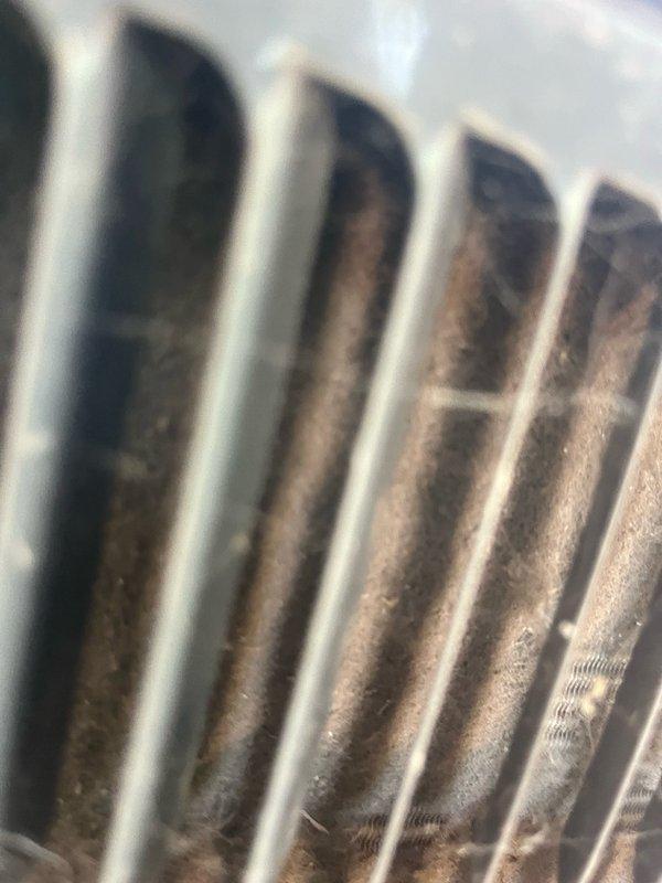 Completed Cool 10+ preventative maintenance inspection on residential HVAC system. Documented significant corrosion on copper refrigerant lines and heavy dust and debris accumulation on evaporator coil fins, indicating extended period without maintenance. Photographed corroded piping showing oxidation progression and deteriorated heat exchanger surfaces with brownish buildup restricting airflow between fins.